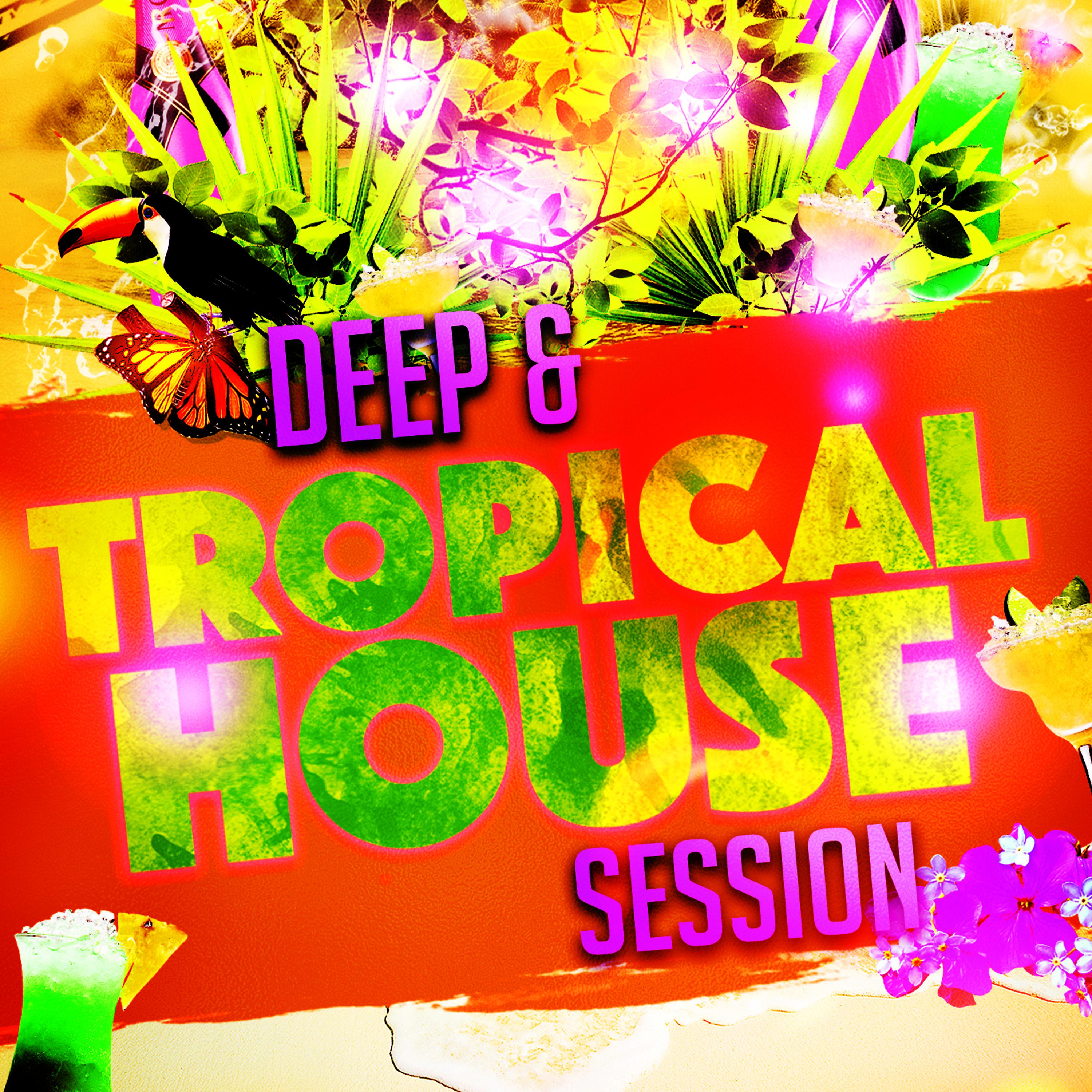 Постер альбома Deep & Tropical House Session