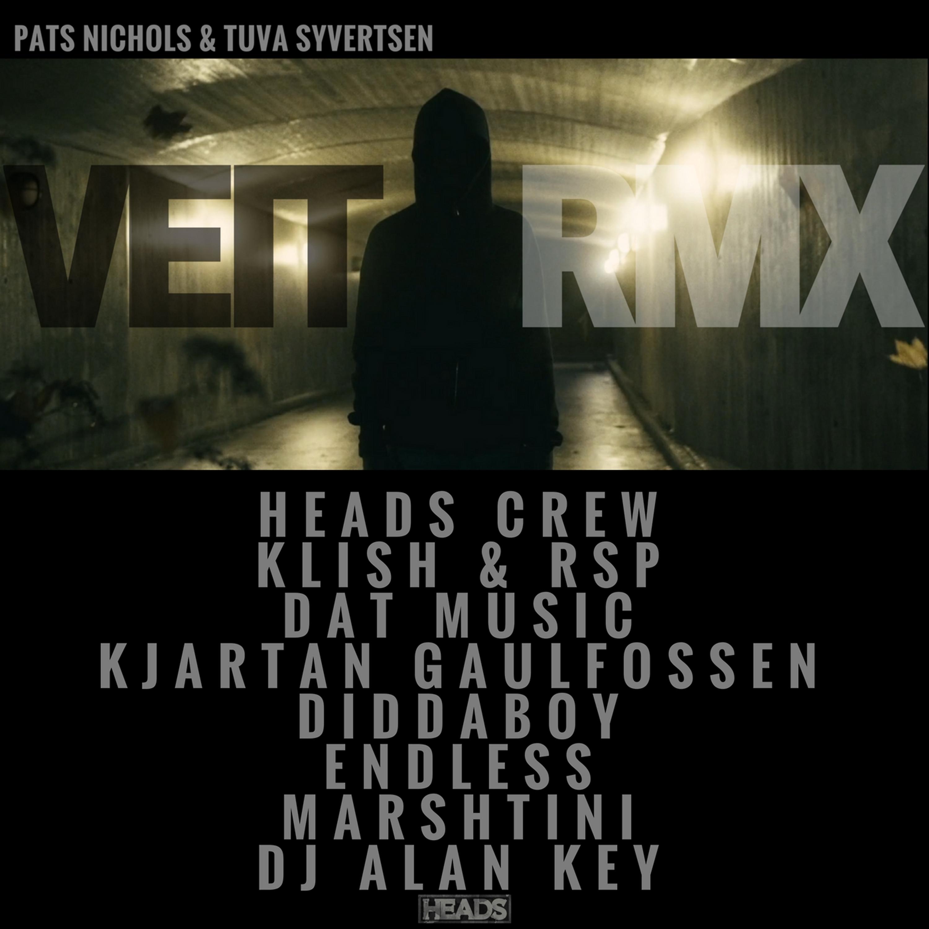 Постер альбома Veit Remix EP