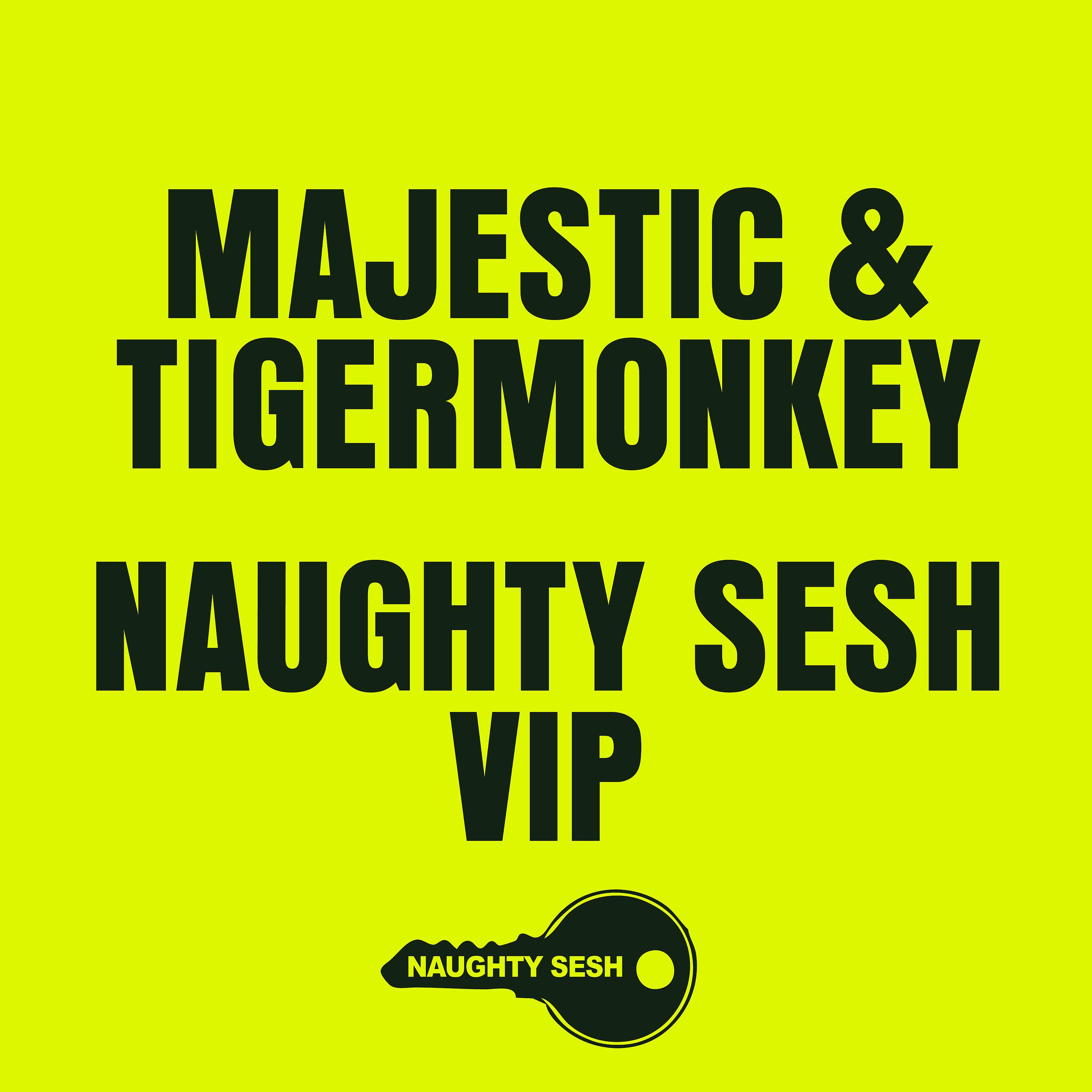 Постер альбома Naughty Sesh (VIP)