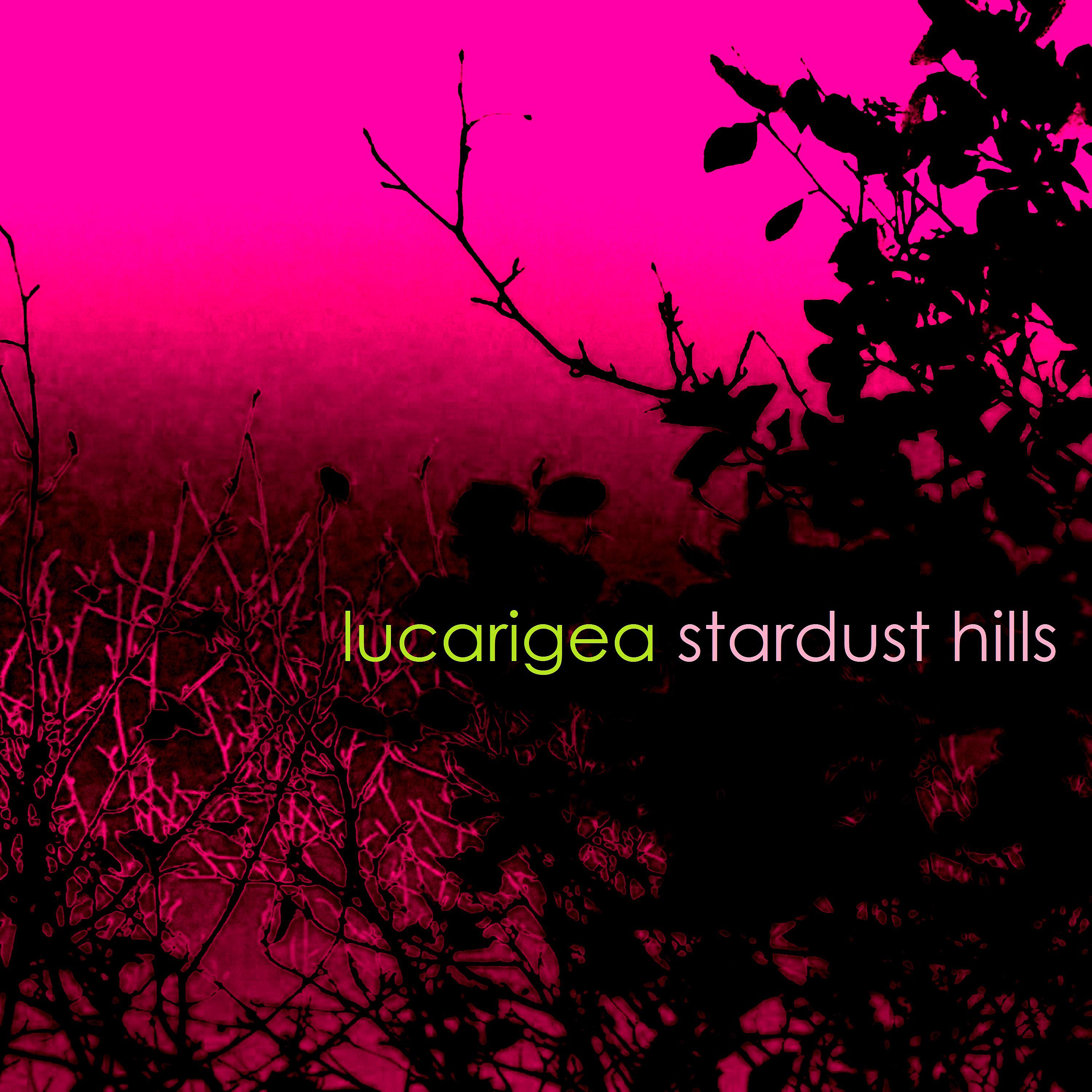 Постер альбома Stardust Hills