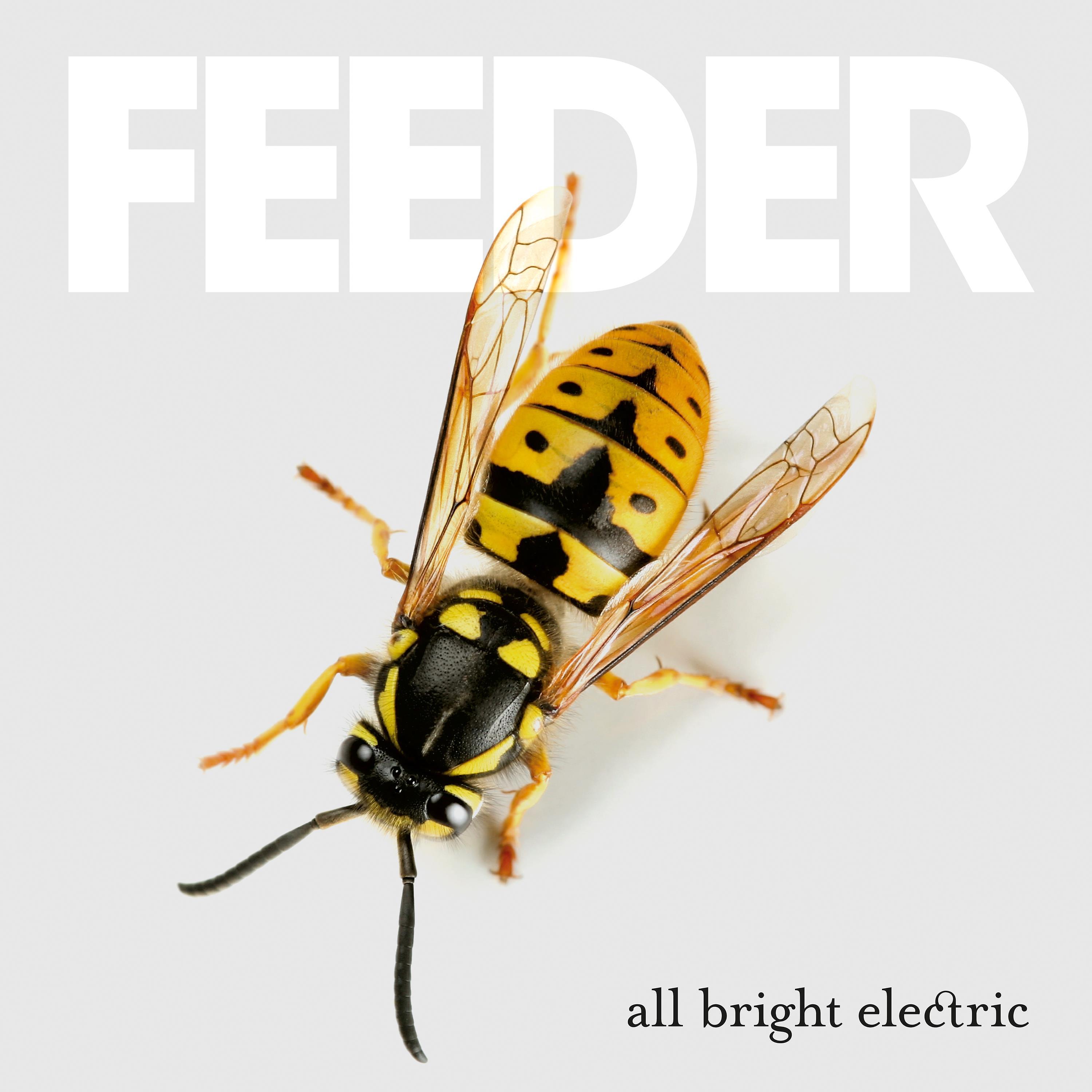 Постер альбома All Bright Electric (Deluxe Version)