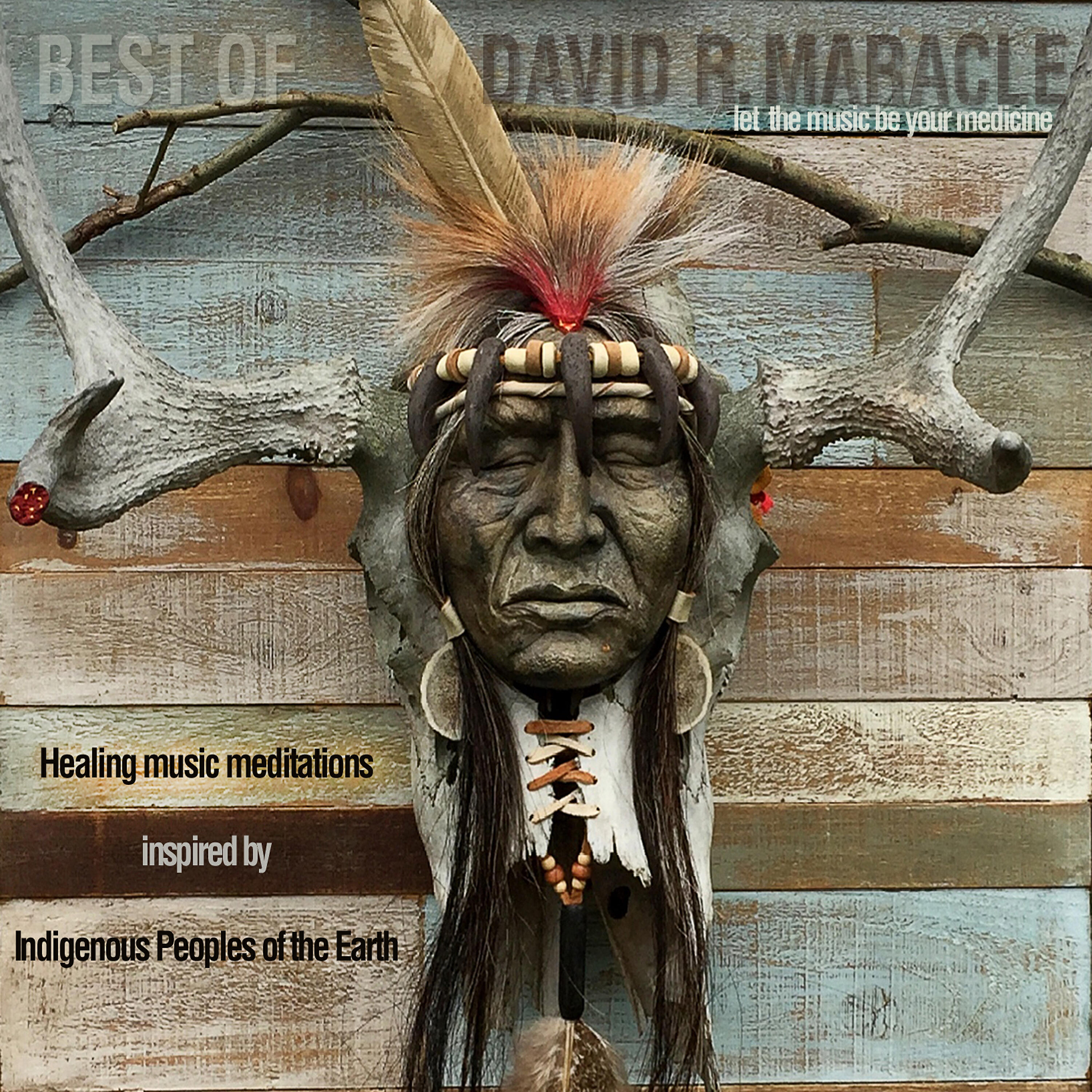 David R. Maracle - Her Many Horses