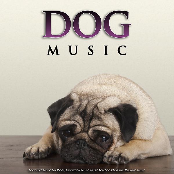Постер альбома Dog Music: Soothing Music For Dogs, Relaxation Music, Music For Dogs Ears and Calming Music