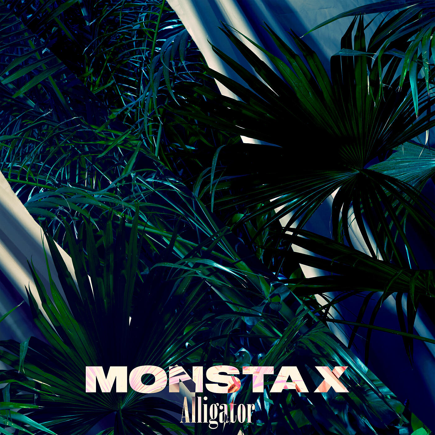 MONSTA X - Alligator (Japanese Version)