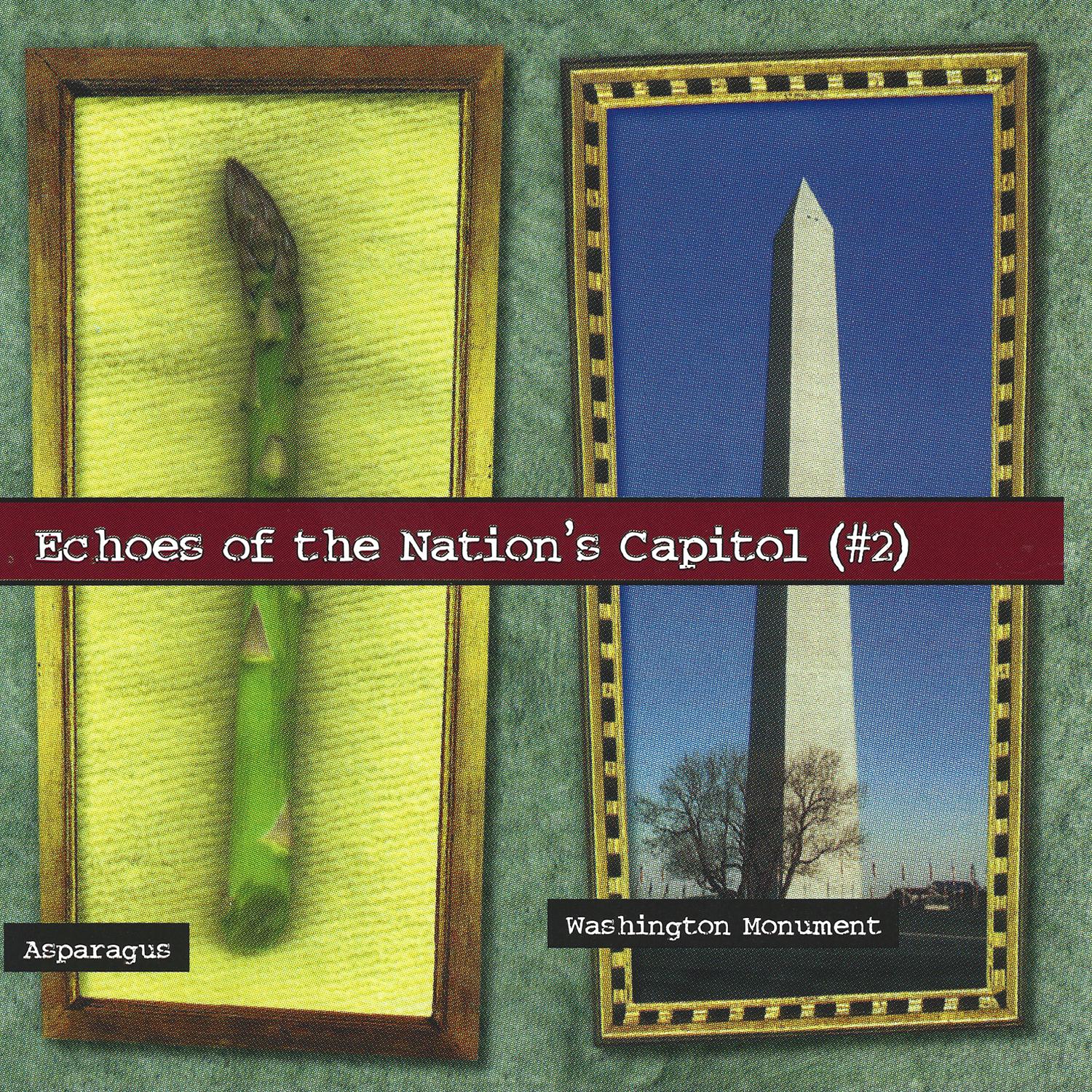Постер альбома Echoes of the Nation's Capitol (#2)