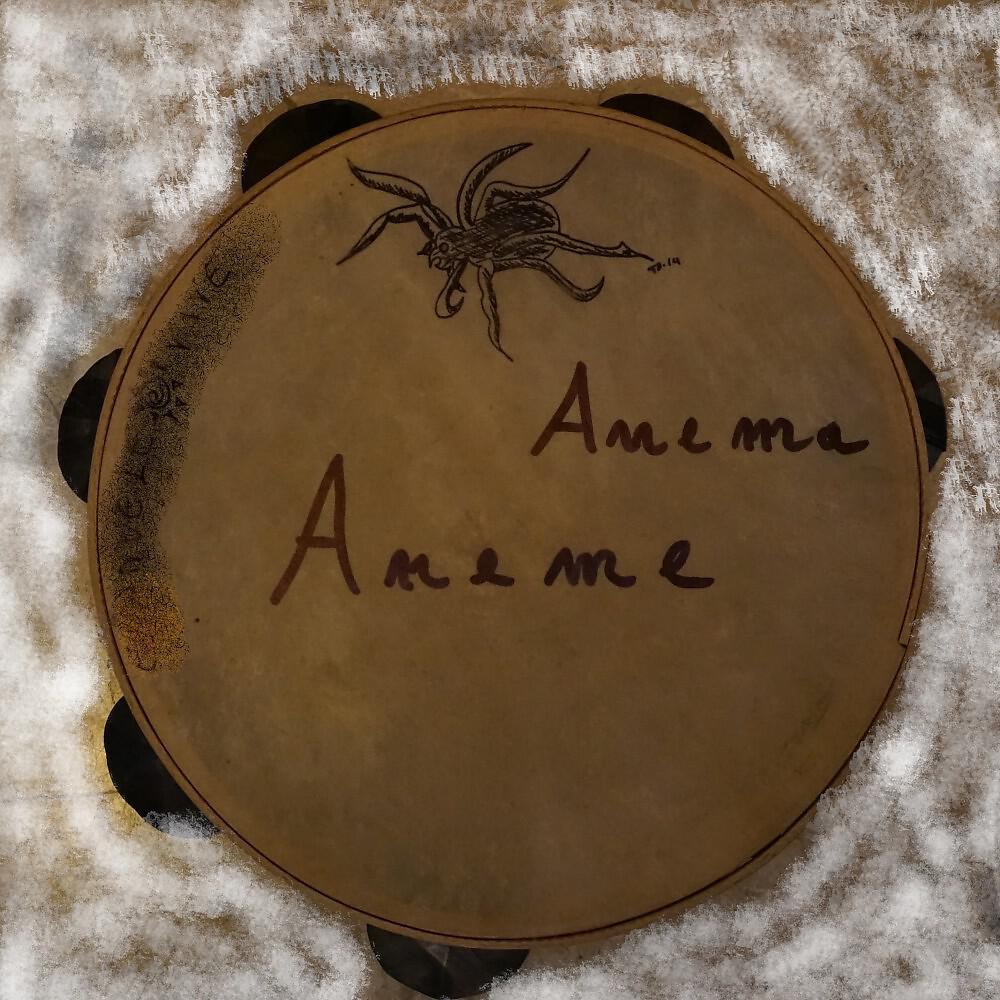 Anema - Aspiette