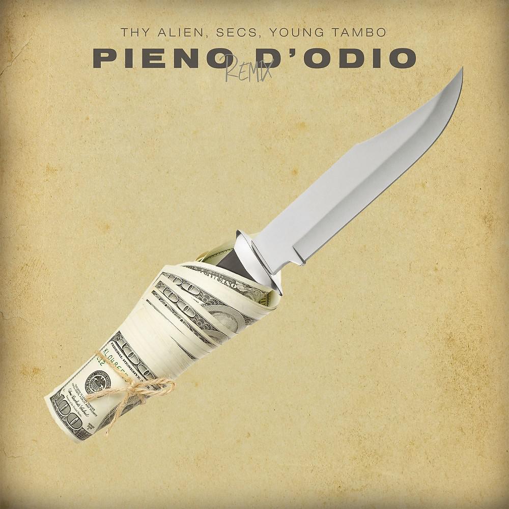 Постер альбома Pieno D'Odio (Remix)