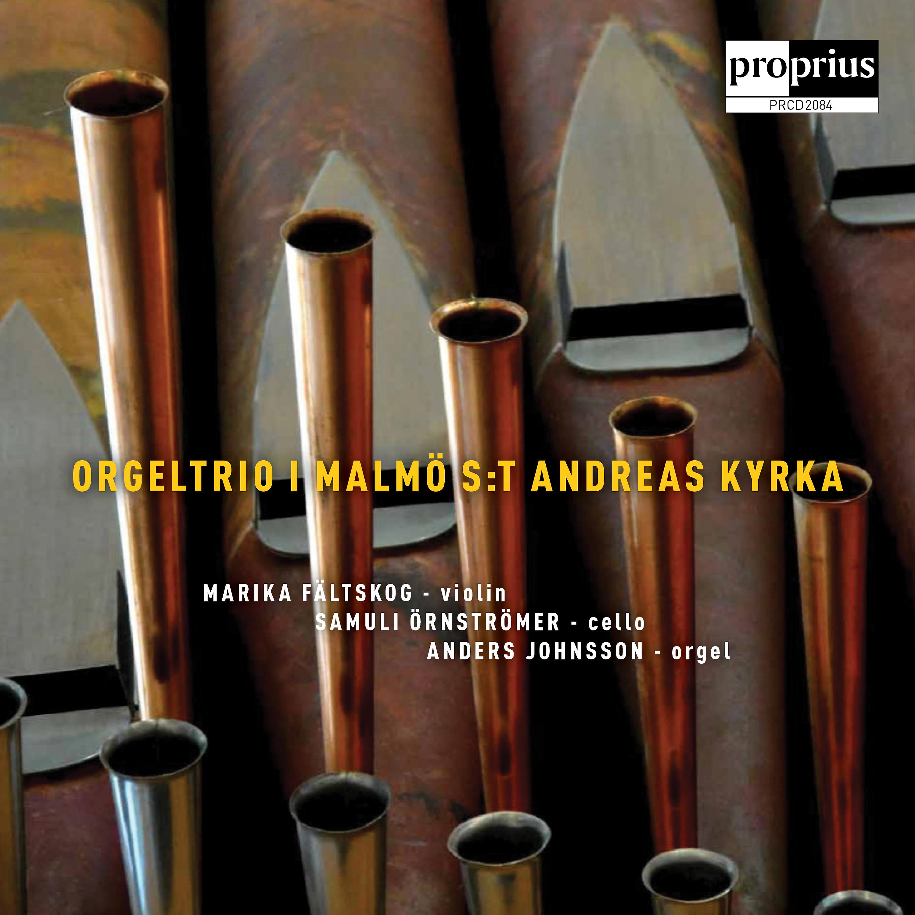 Постер альбома Orgeltrio i Malmö  S:t Andreas Kyrka