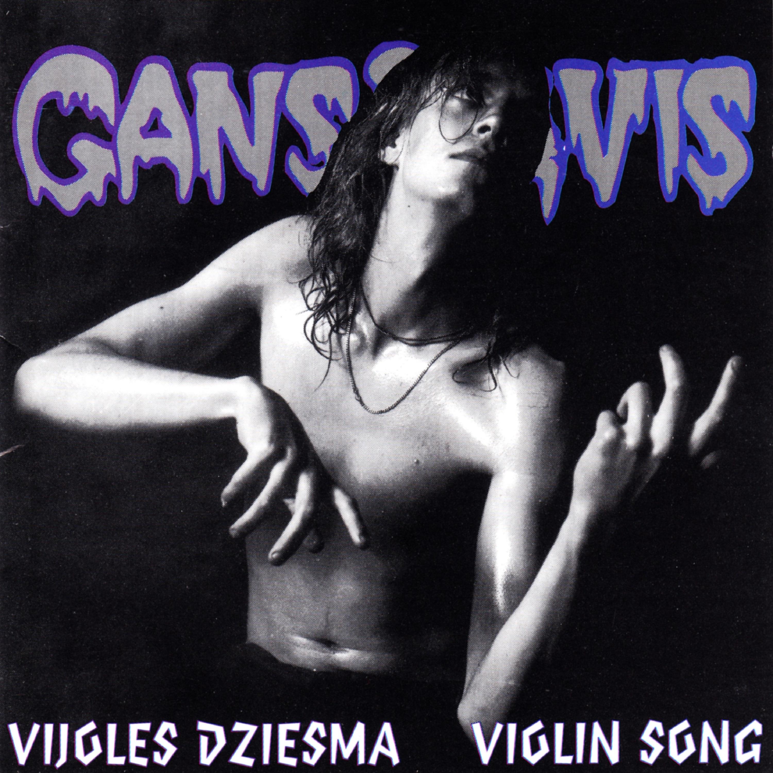 Постер альбома Vijoles dziesma