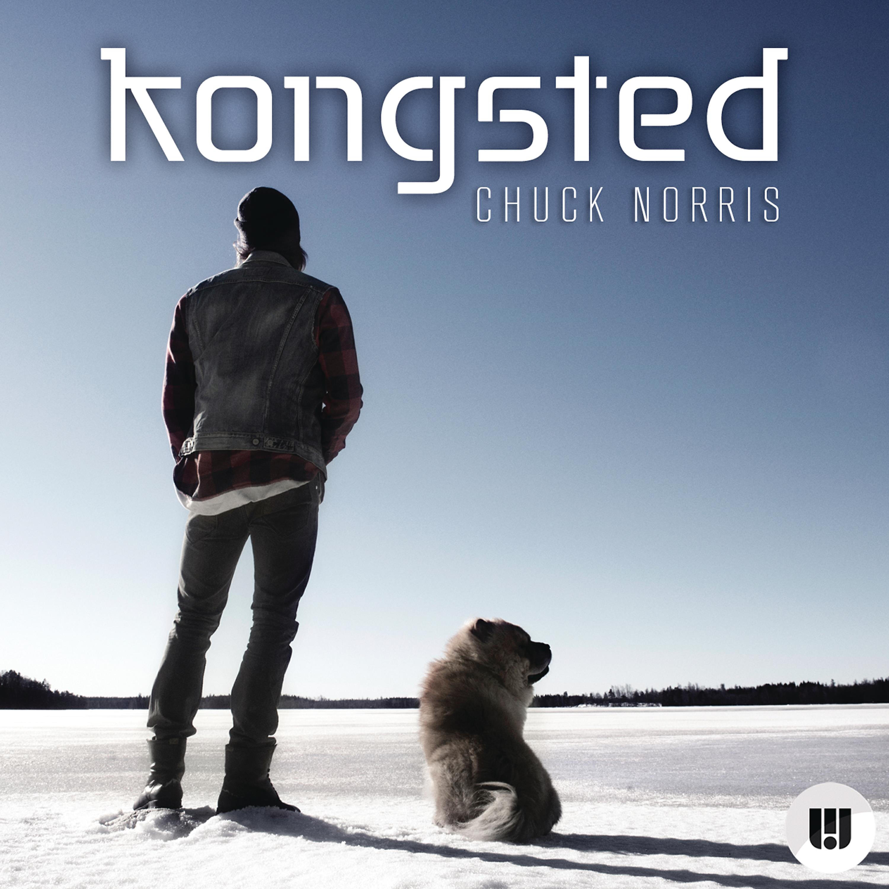 Kongsted - Chuck Norris