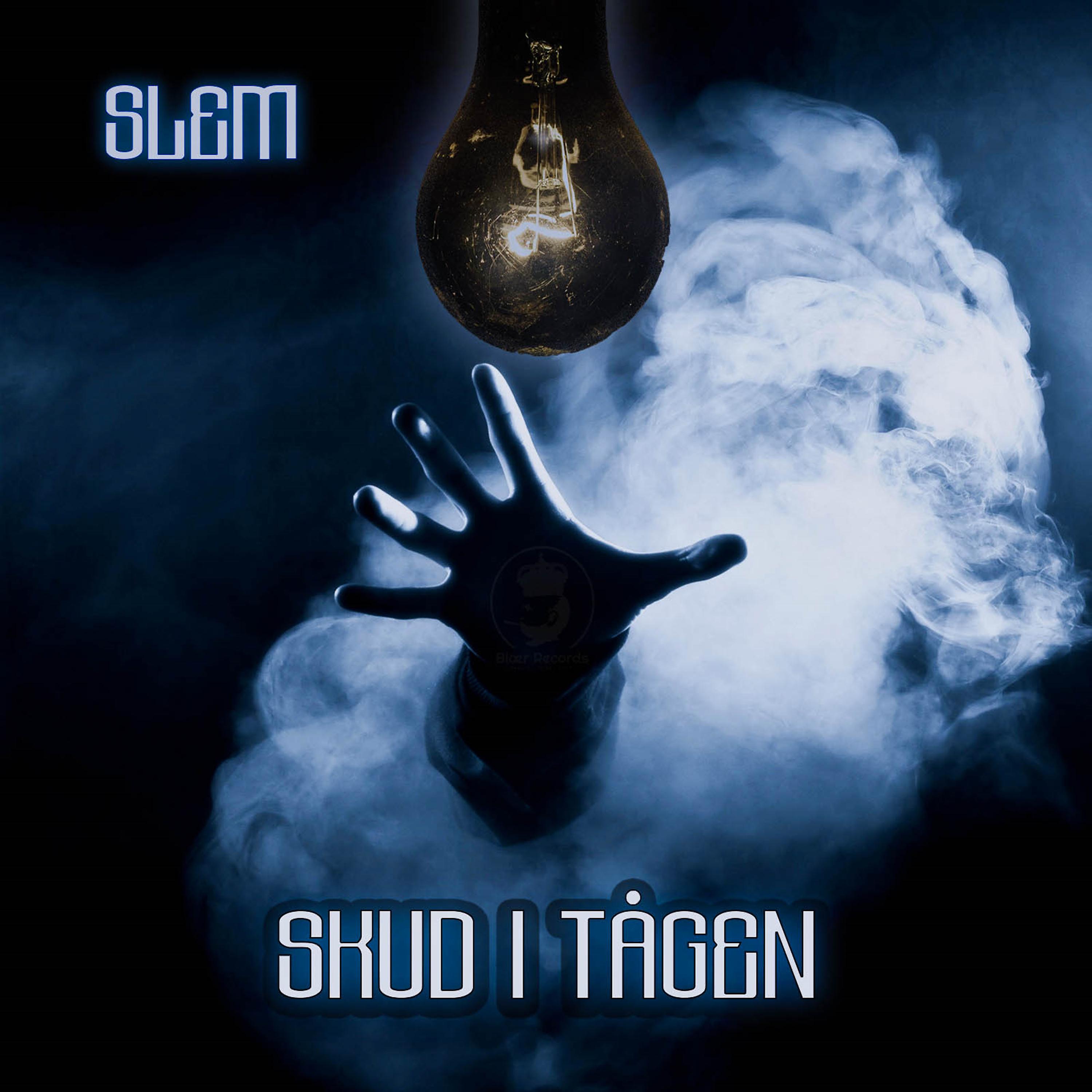 Постер альбома Skud i Tågen