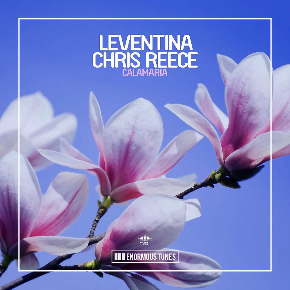 Leventina - Calamaria