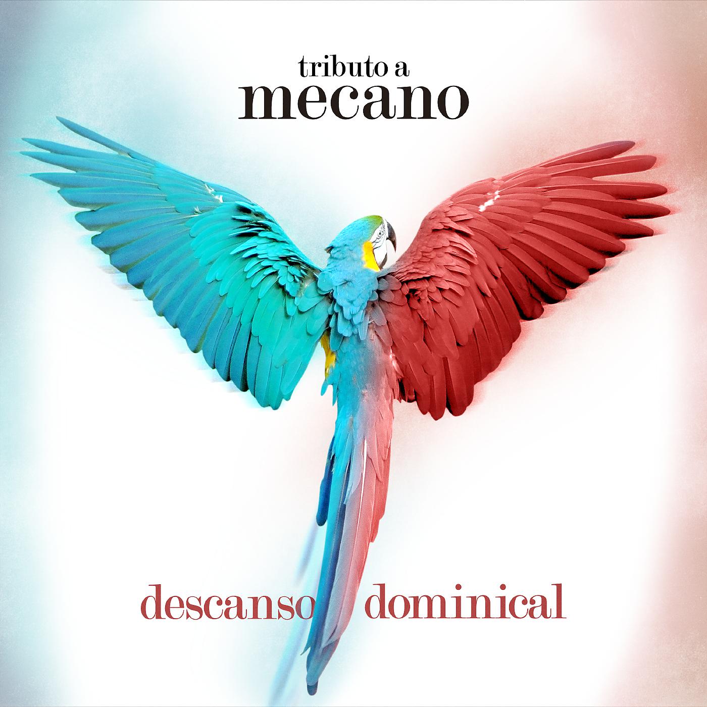 Постер альбома Descanso Dominical: Tributo a Mecano