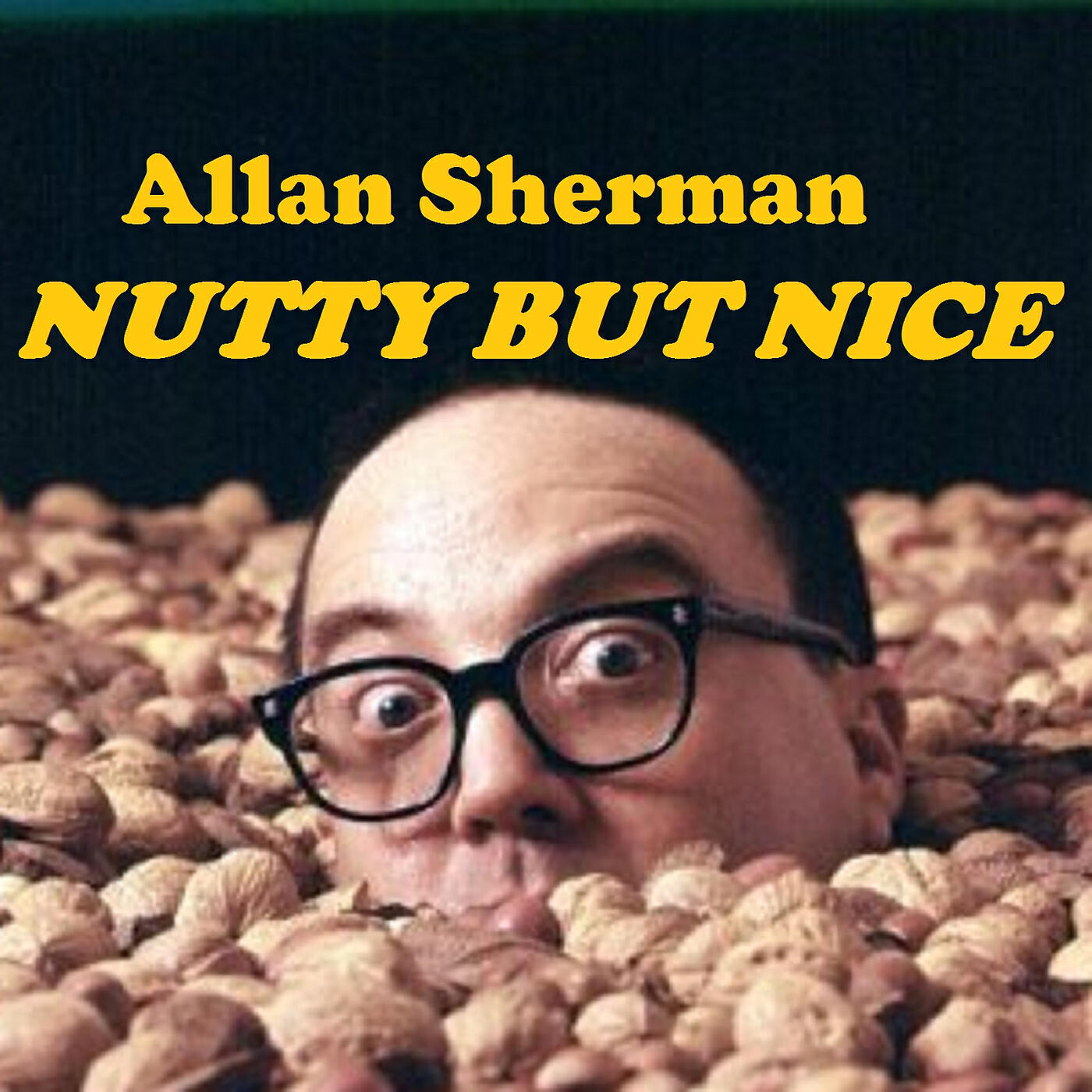 Allan Sherman - Mister Grinch (You're a Mean One, Mr. Grinch)