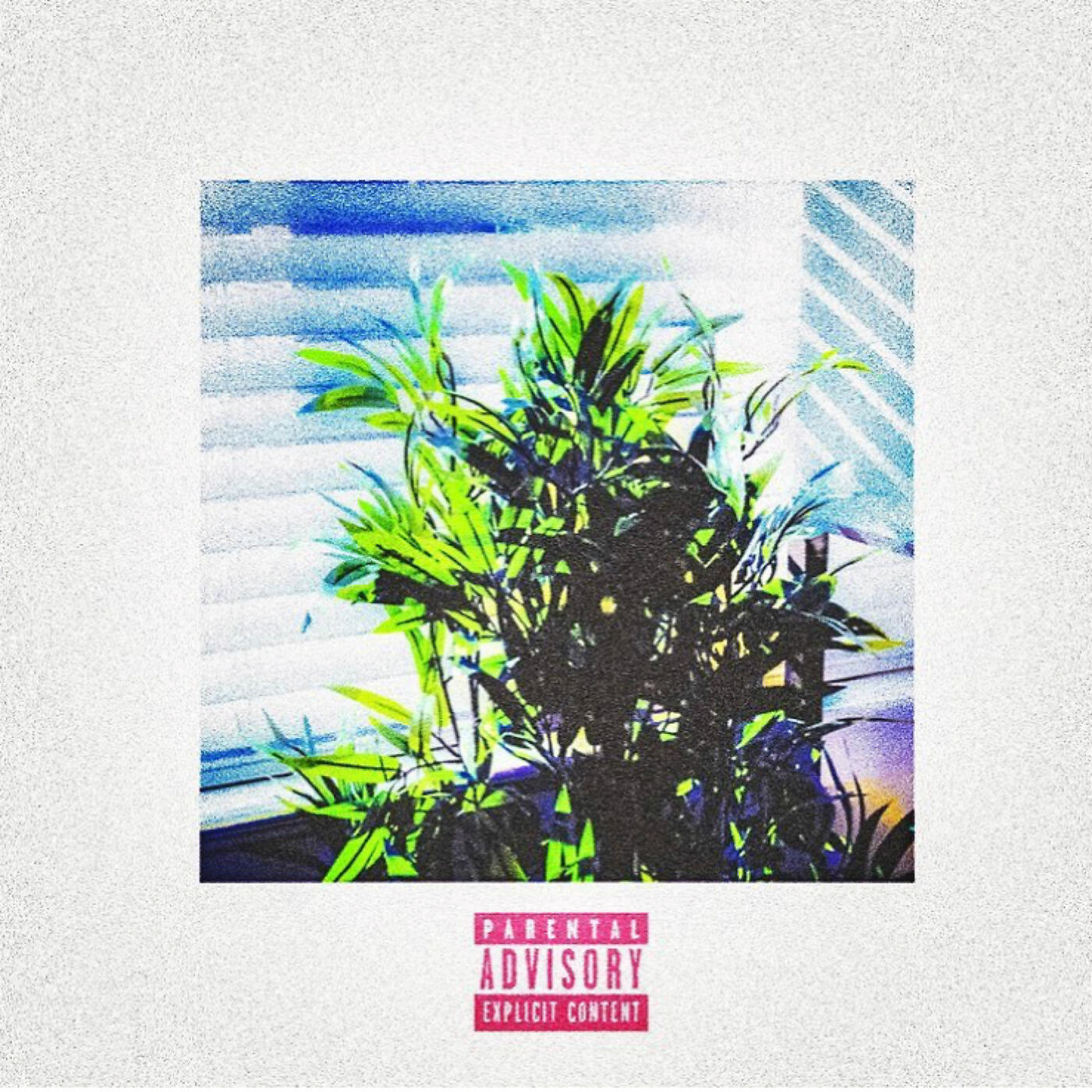 FashionRousseau - Re:Locate
