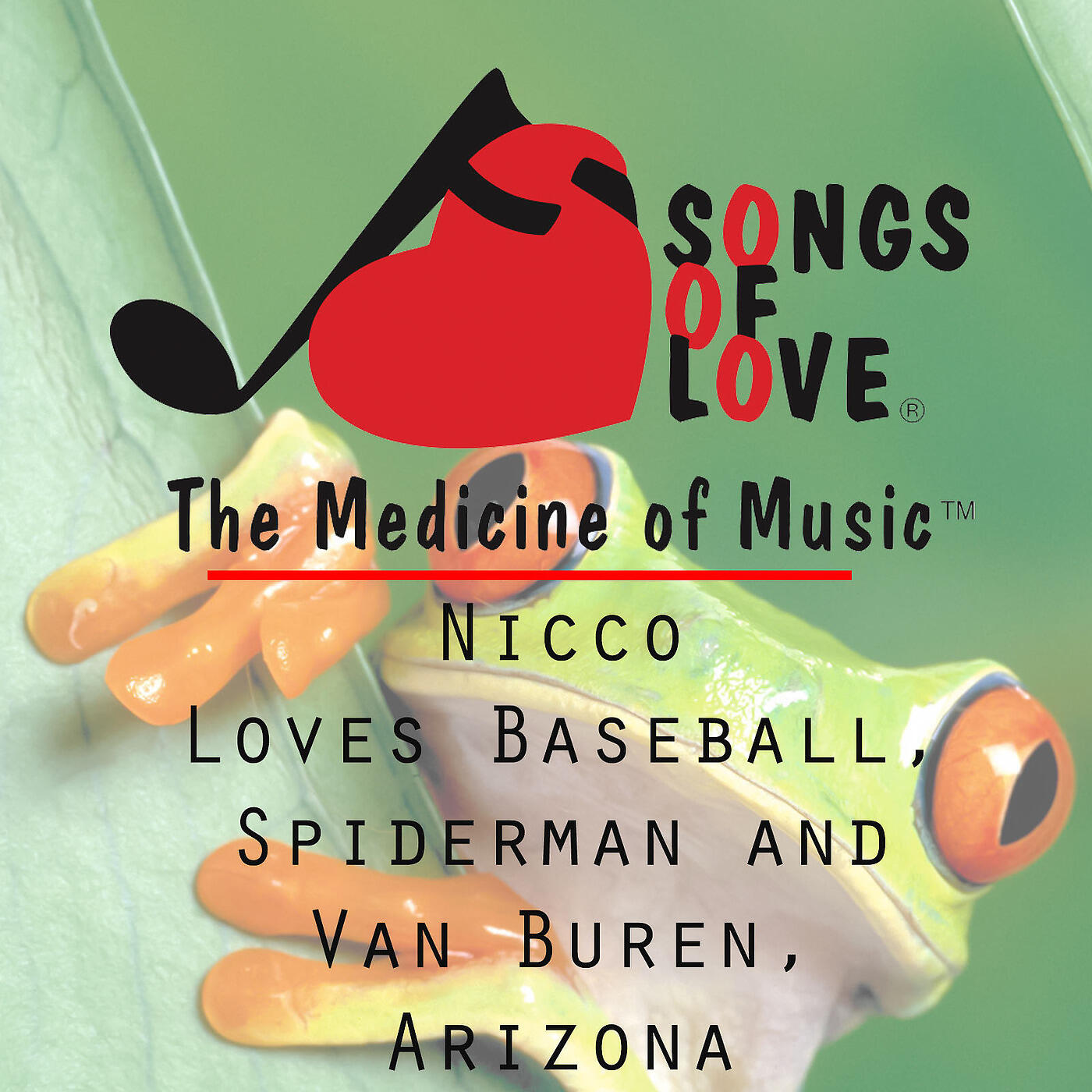 M. Edewaard - Nicco Loves Baseball, Spiderman and Van Buren, Arizona