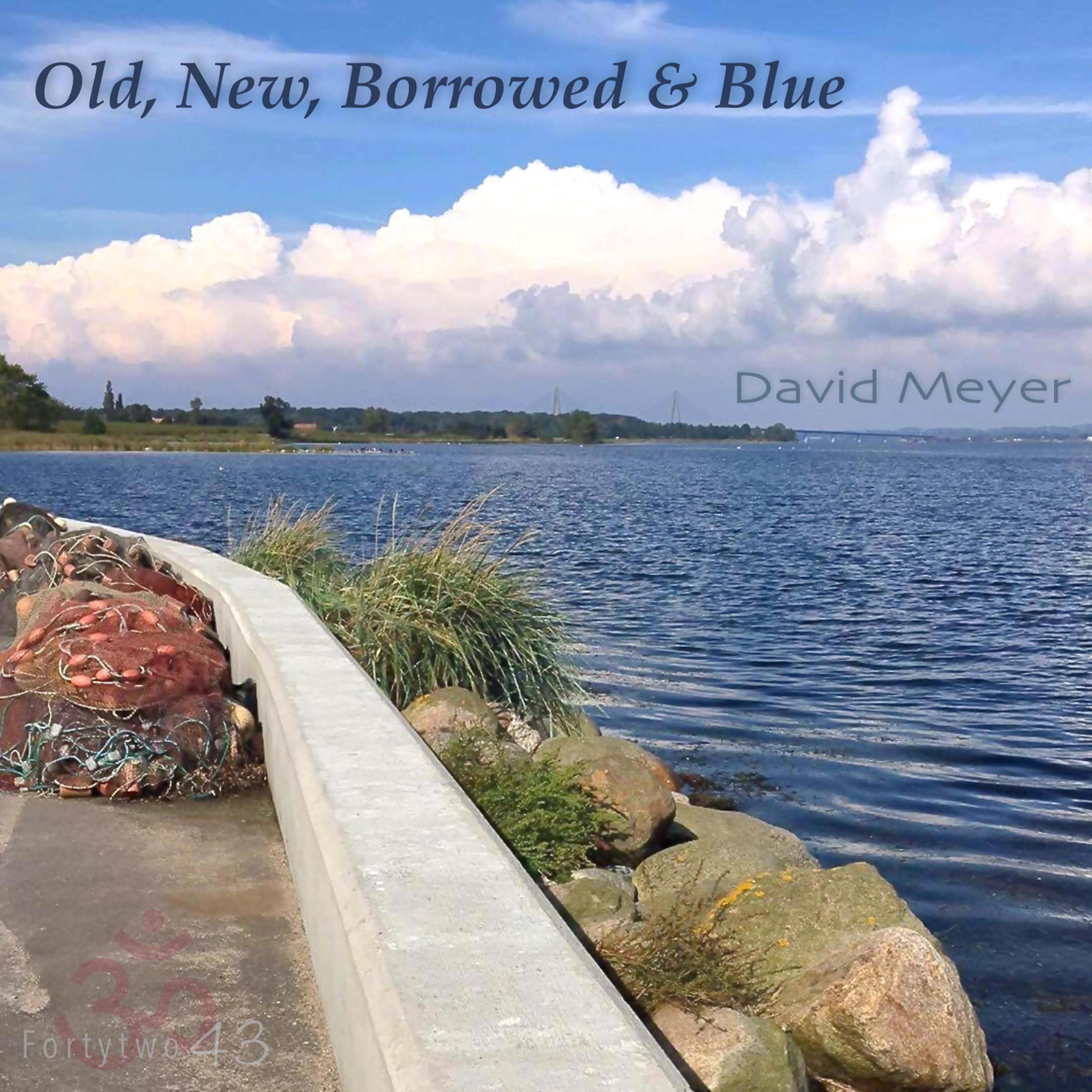 Постер альбома Old, New, Borrowed & Blue