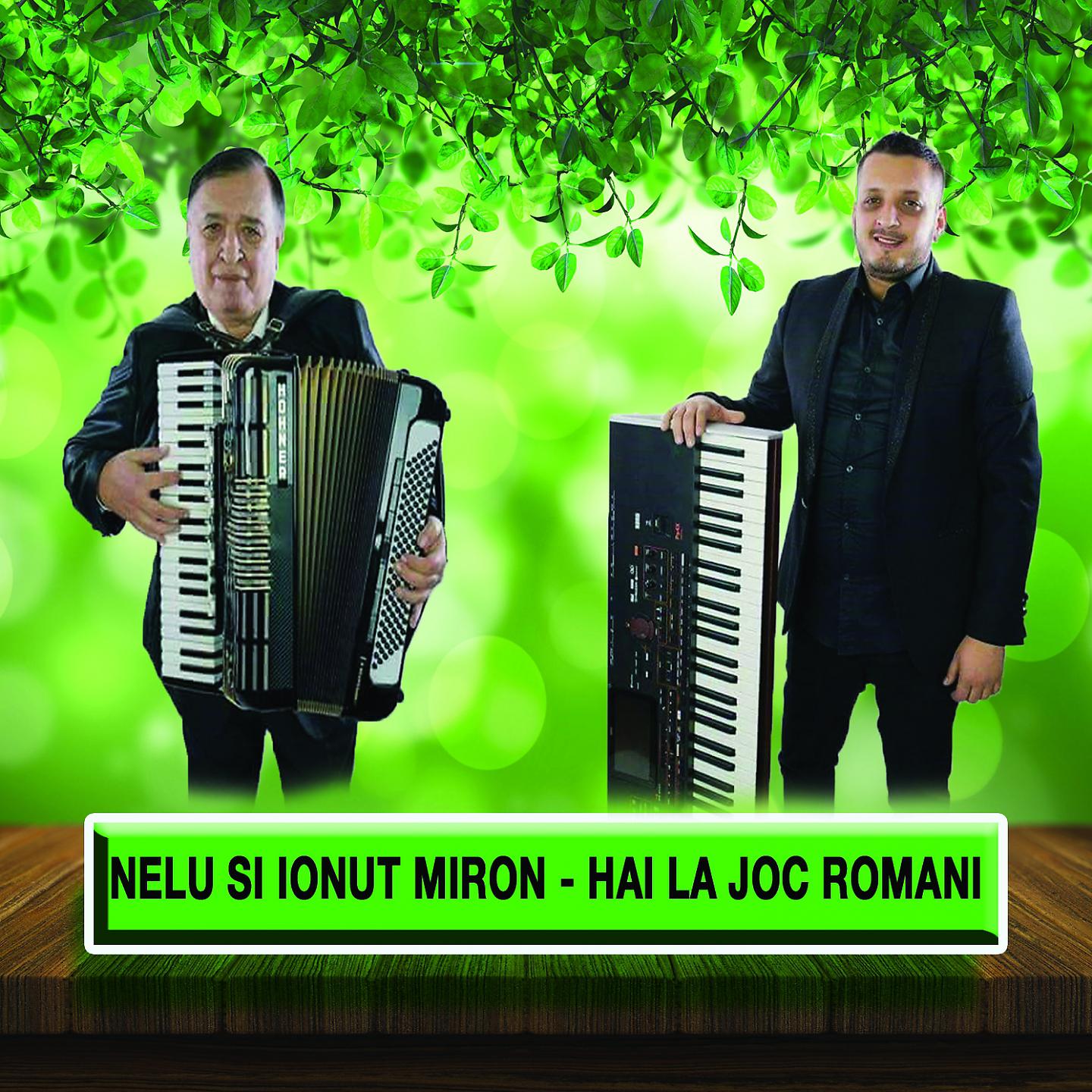 Постер альбома Hai La Joc Romani