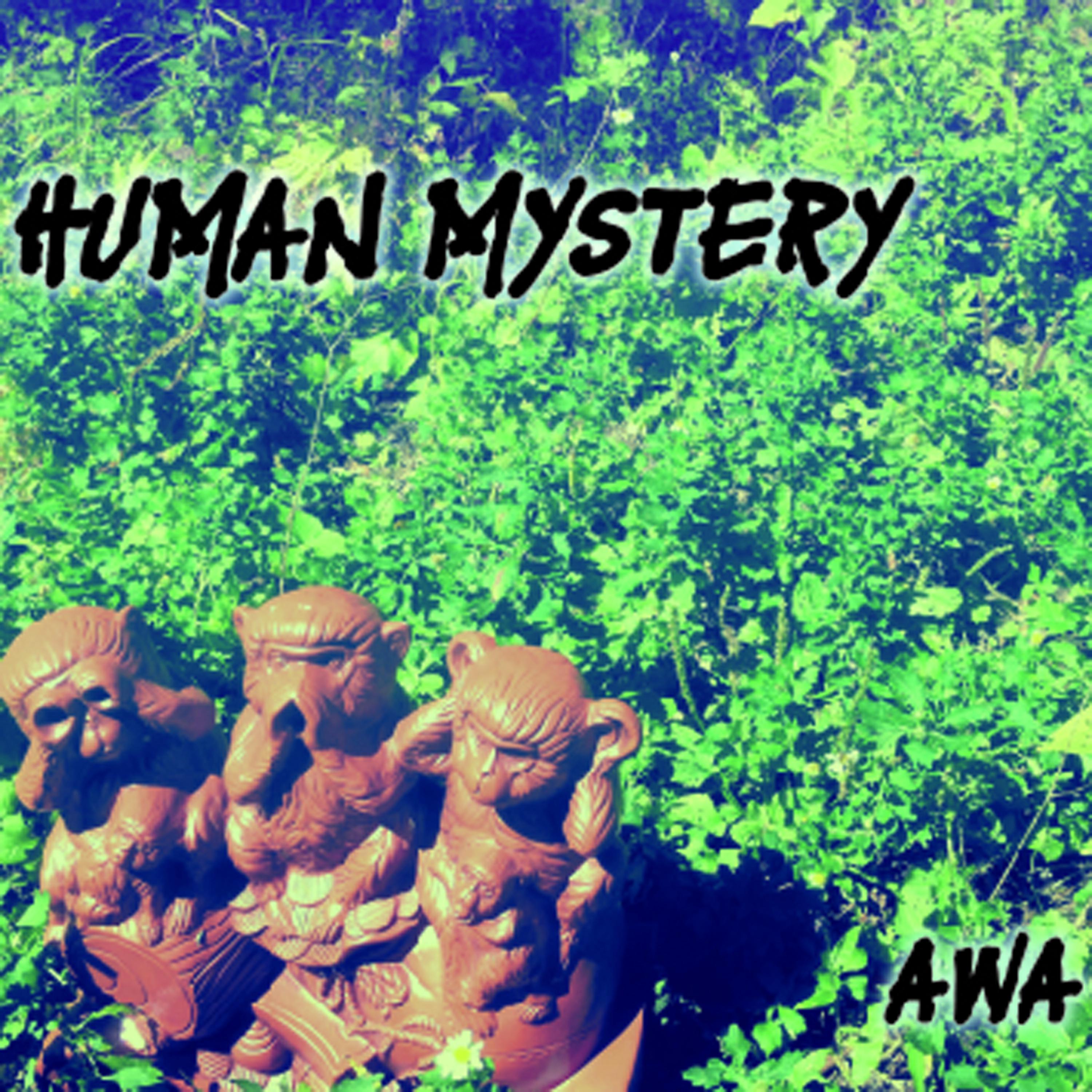 Постер альбома Human Mystery