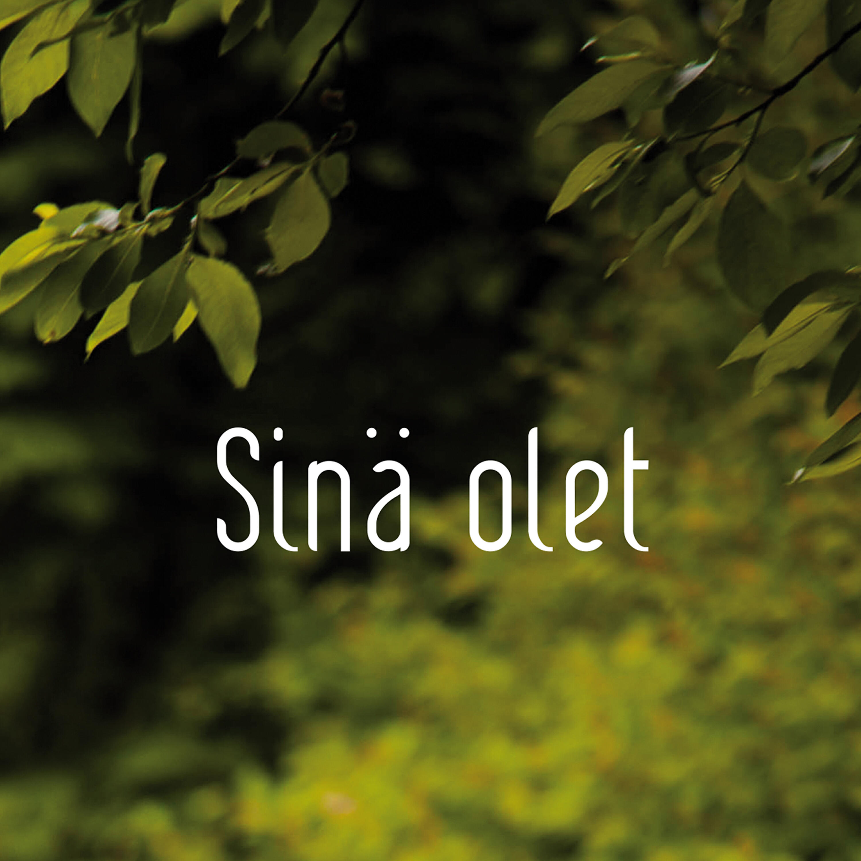 Tapio Liinoja - Sinä olet