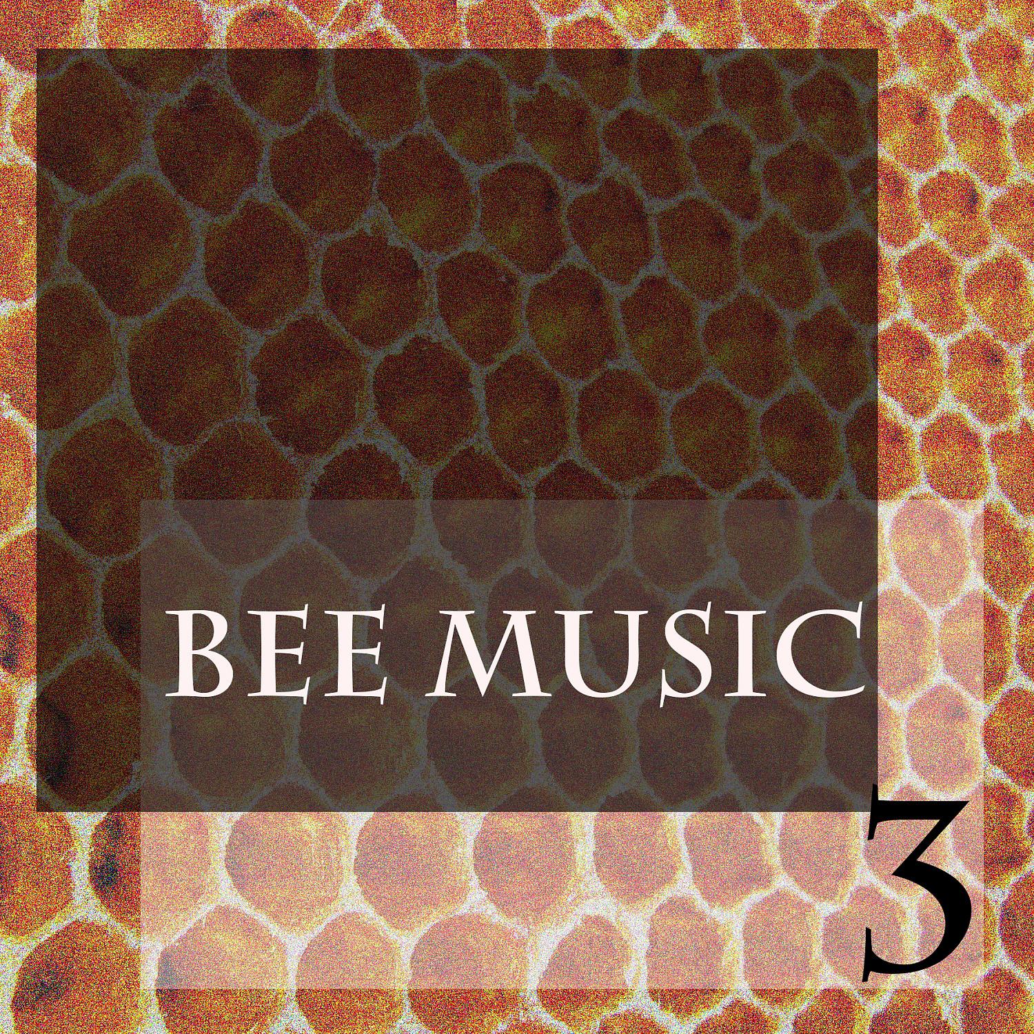 Постер альбома Bee Music, Vol. 3
