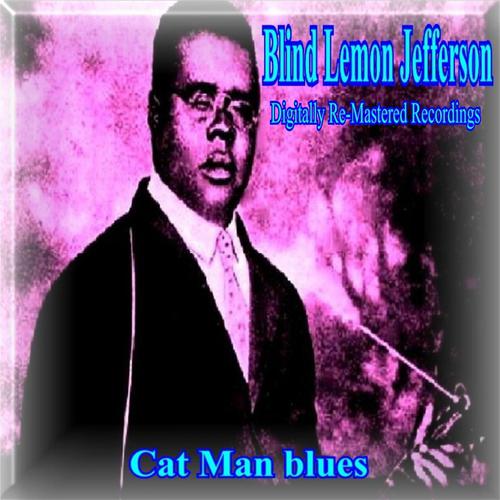 Постер альбома Cat Man Blues