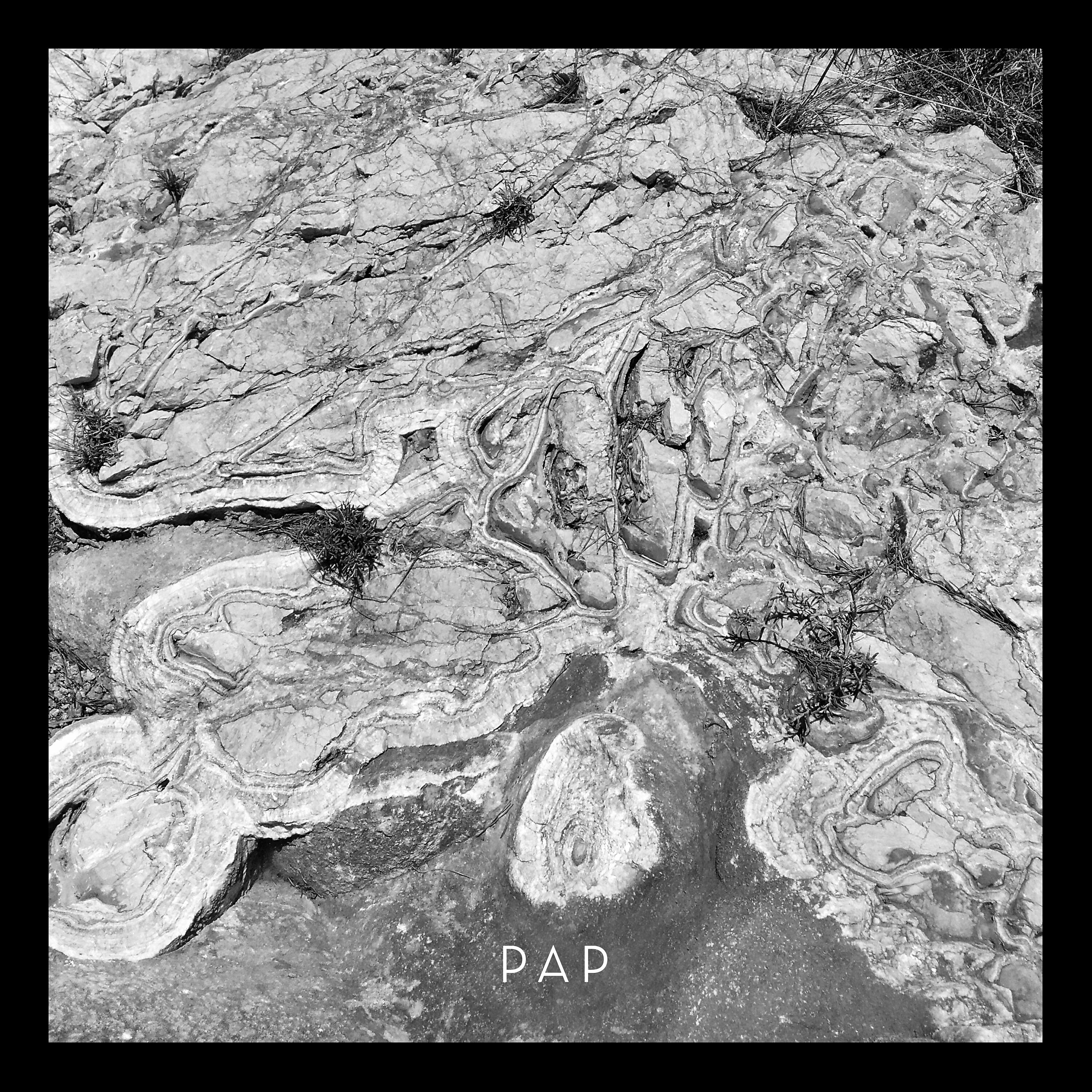 PAP - 8888