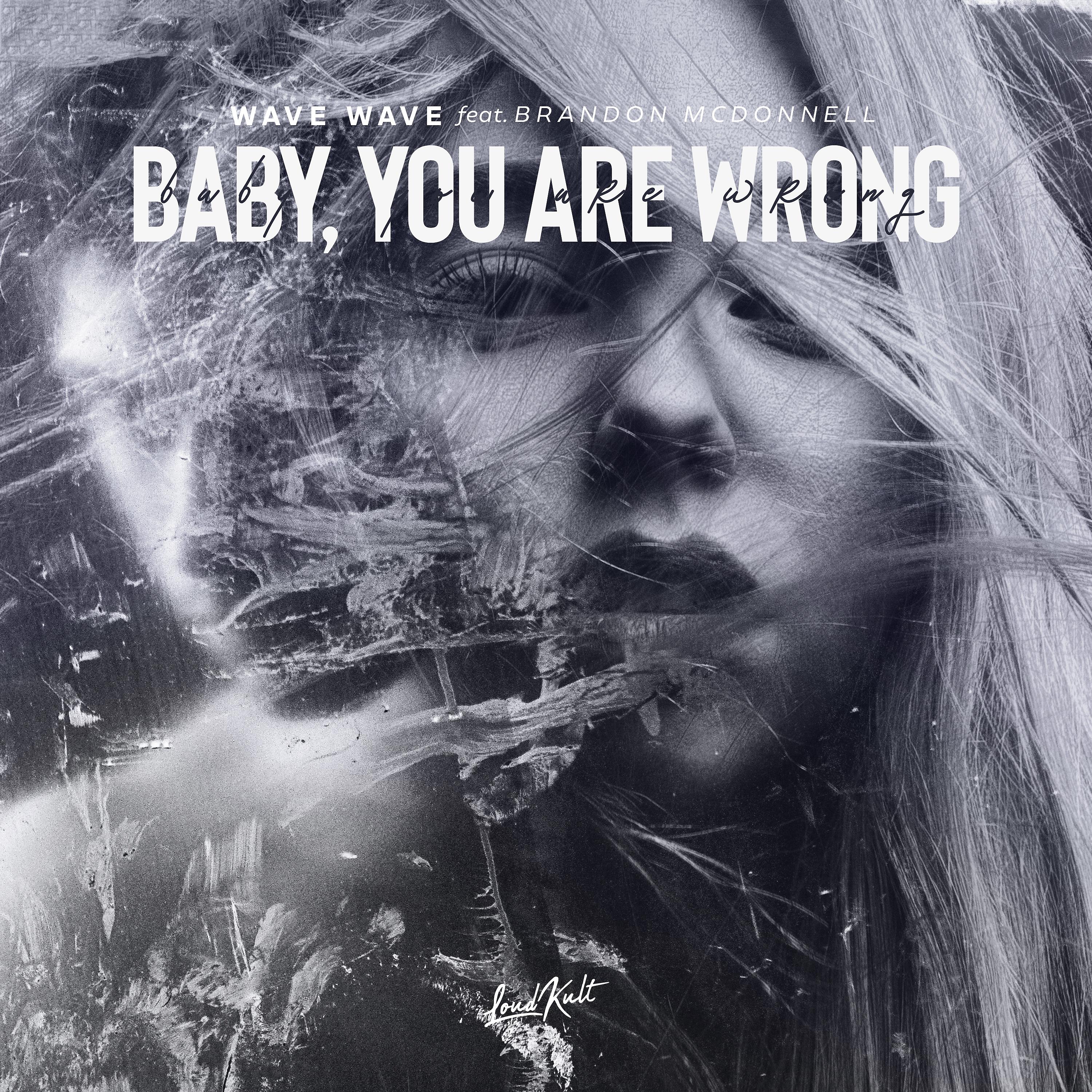 Постер альбома Baby, You Are Wrong (feat. Brandon Mcdonnell)