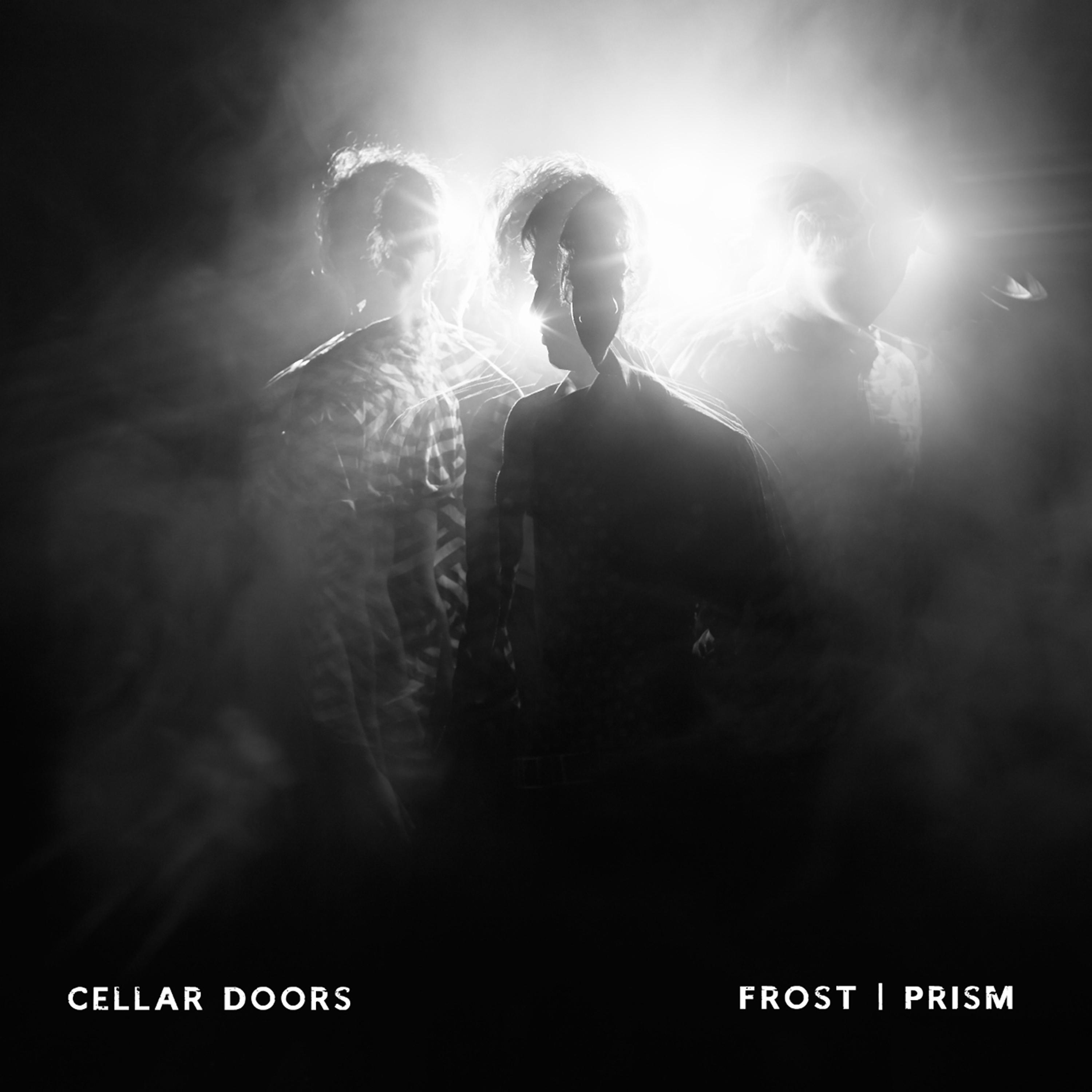 Постер альбома Frost / Prism