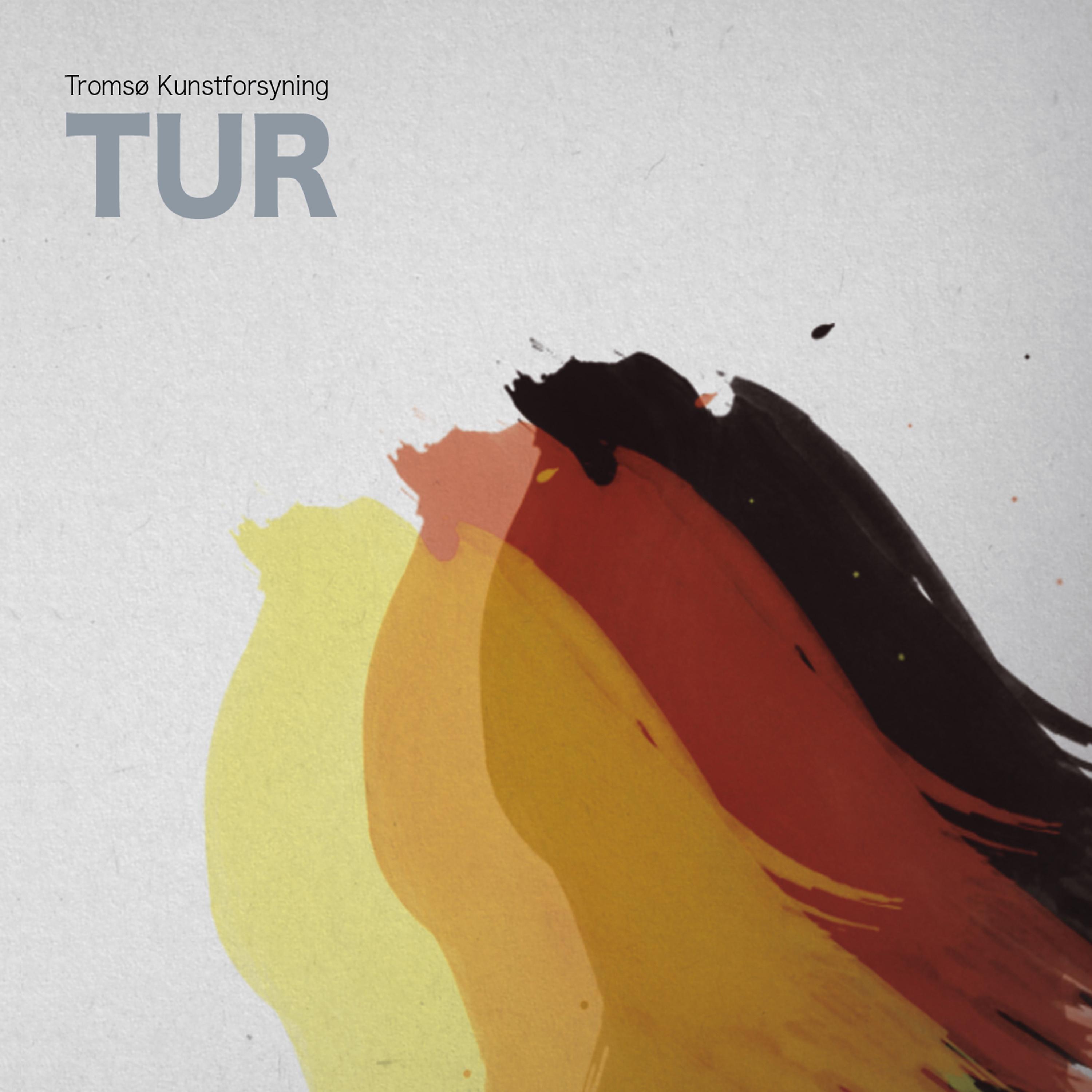 Постер альбома Tur