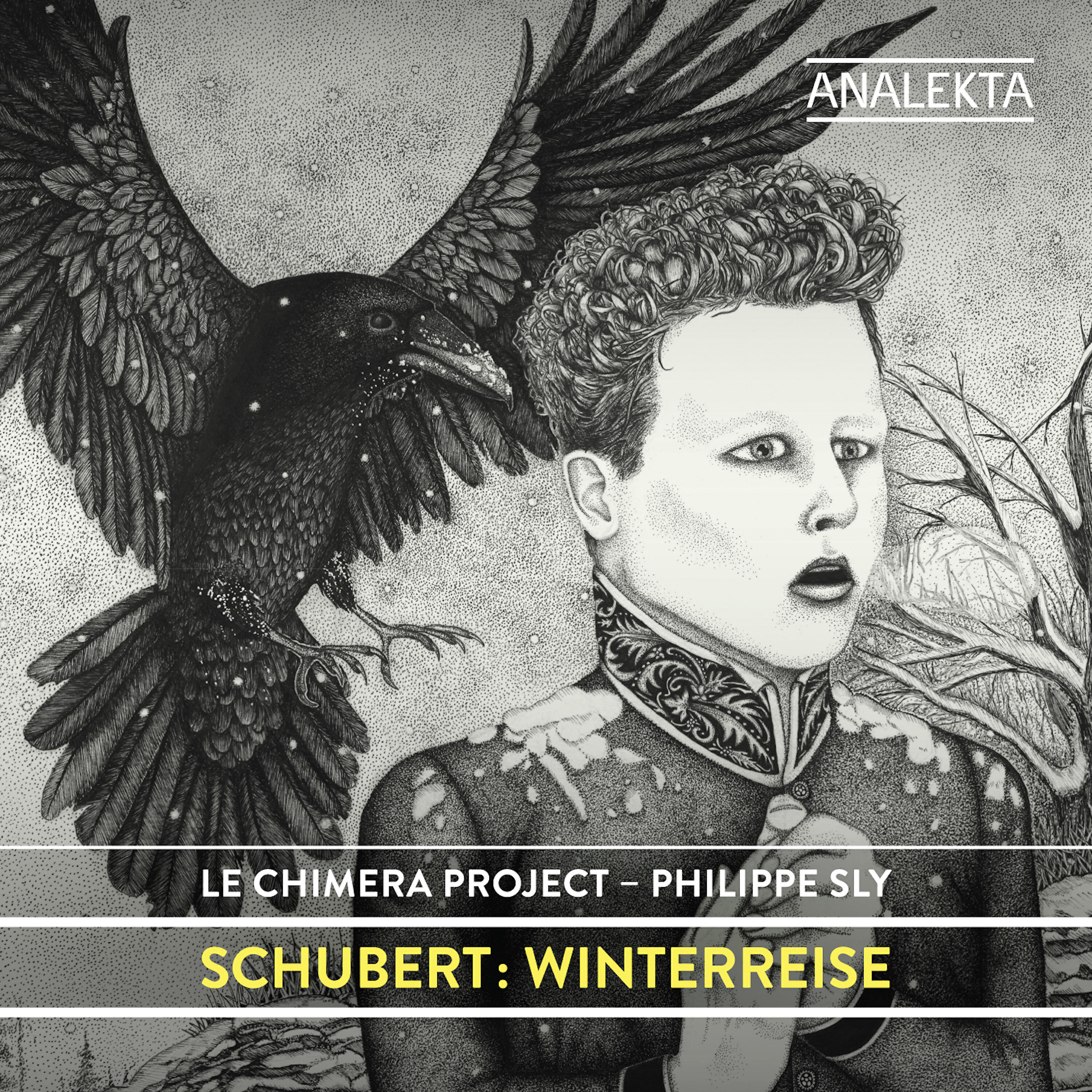 Philippe Sly - Winterreise, D. 911 (Arr. for Voice and Chamber Ensemble): X. Rast
