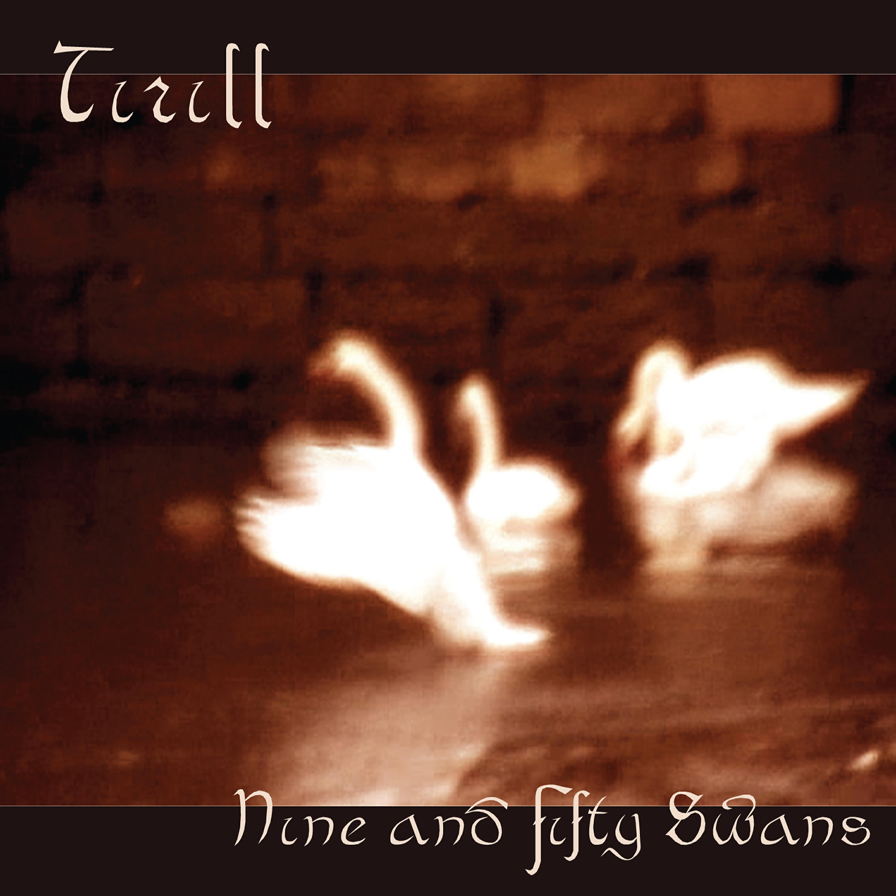 Tirill - The Wild Swans at Coole