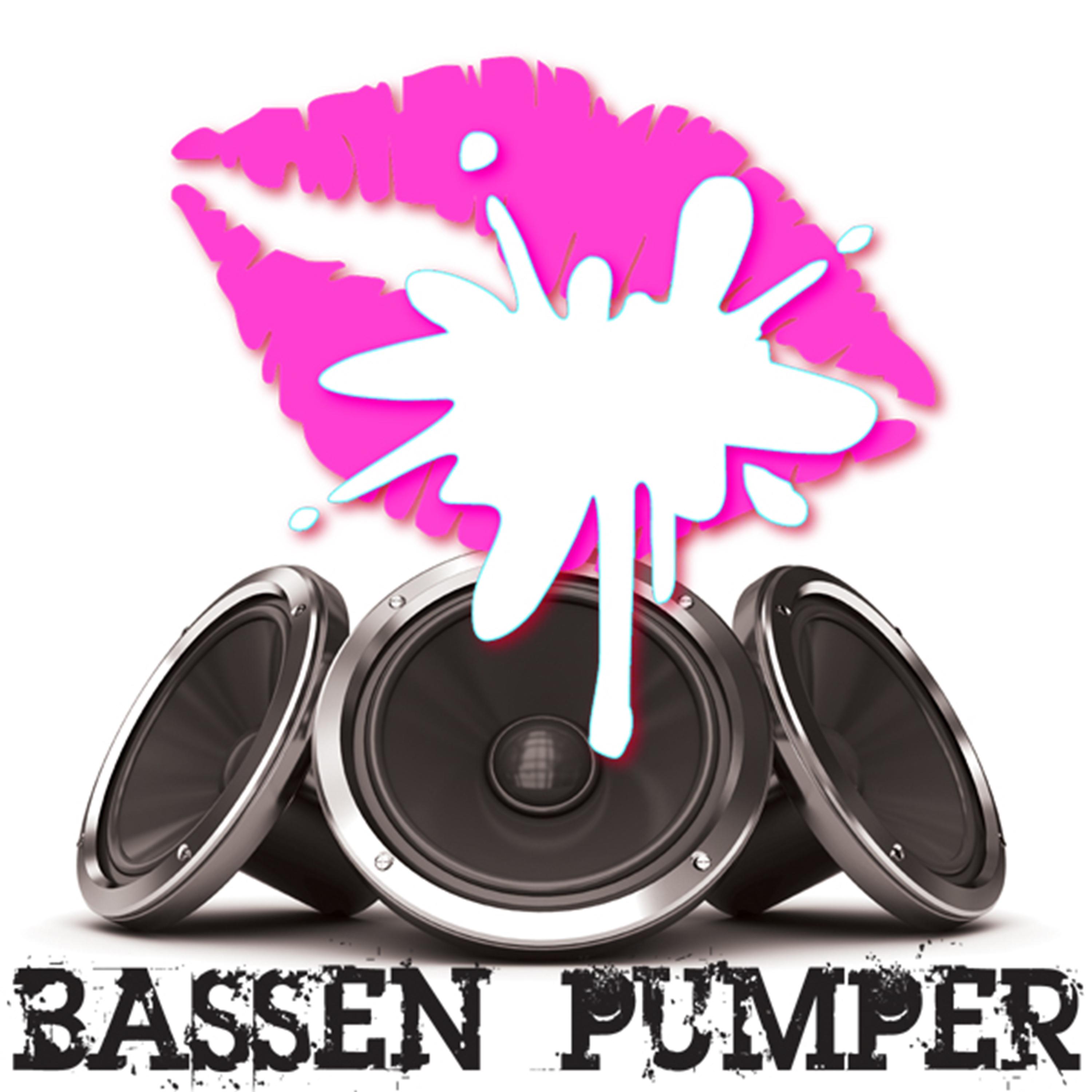 Постер альбома Bassen Pumper