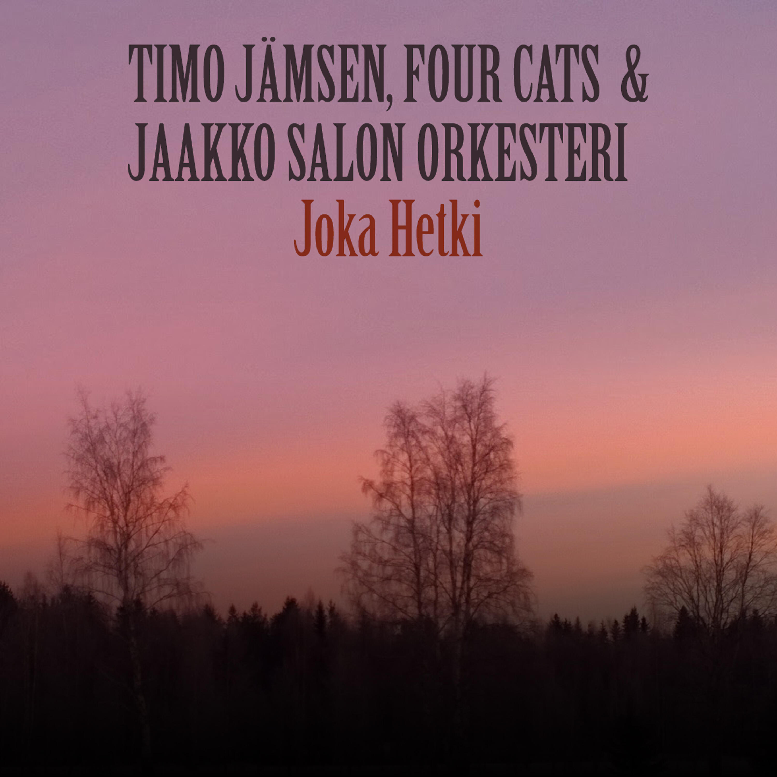 TIMO JÄMSEN - Joka Hetki