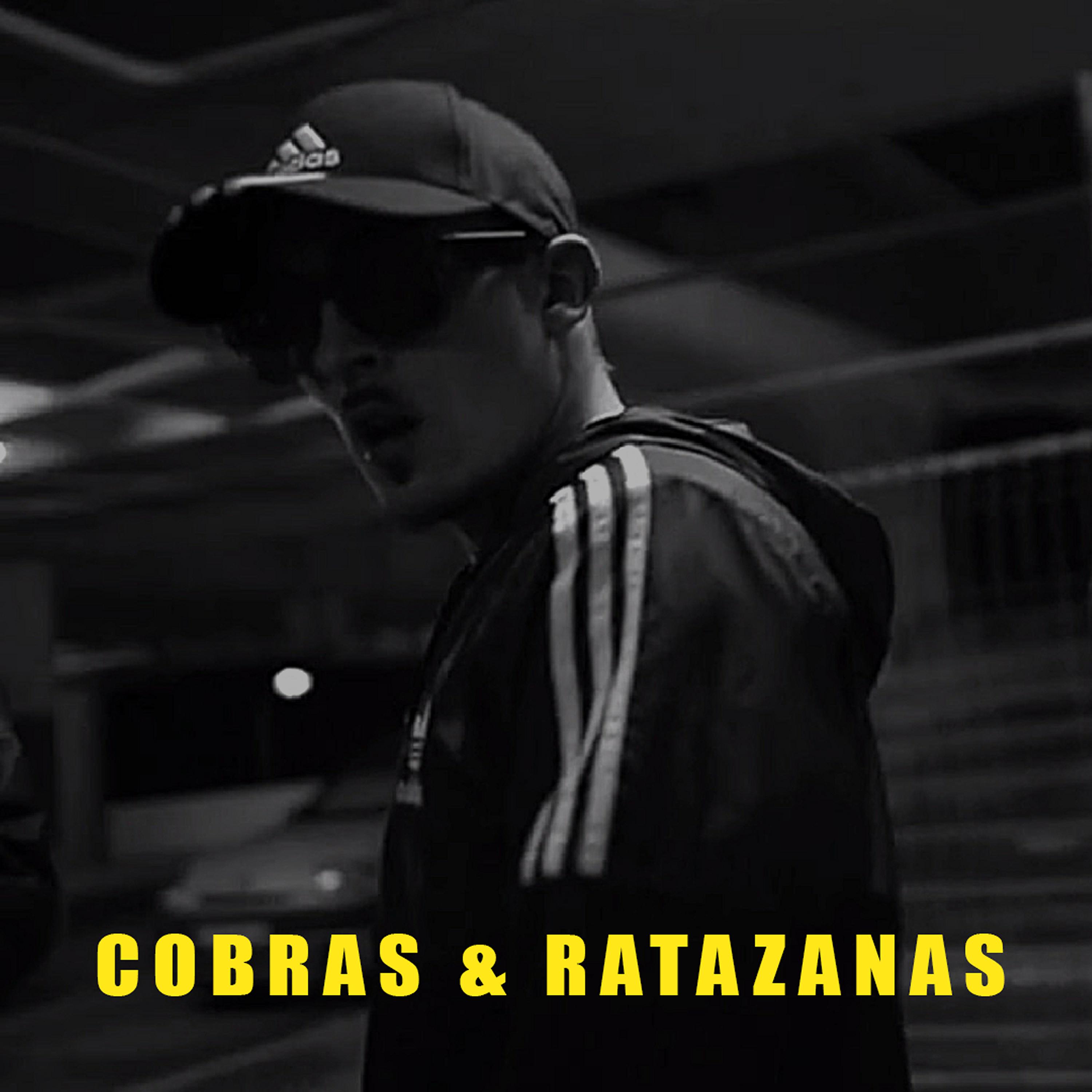 Постер альбома Cobras & Ratazanas