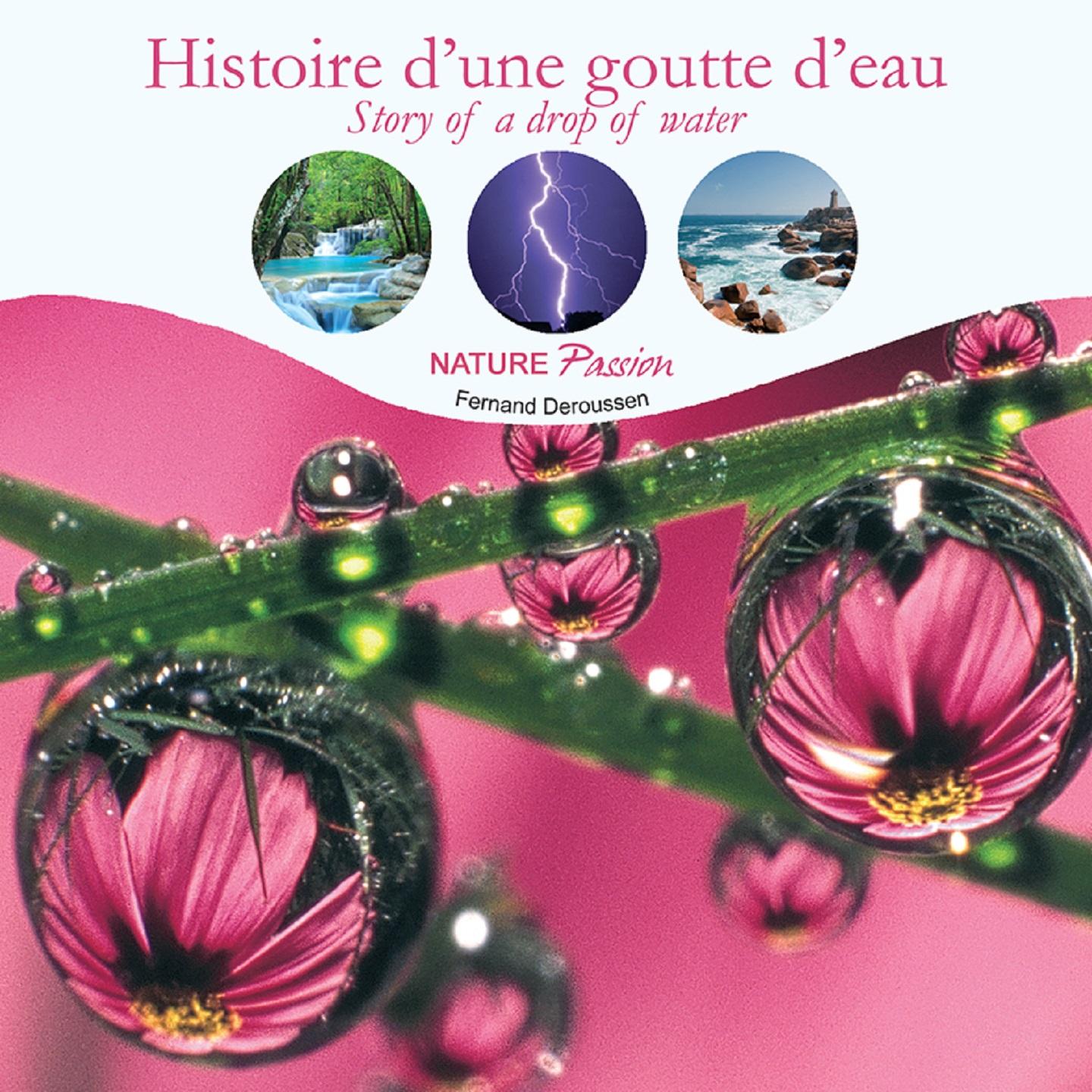 Постер альбома Histoire d'une goutte d'eau