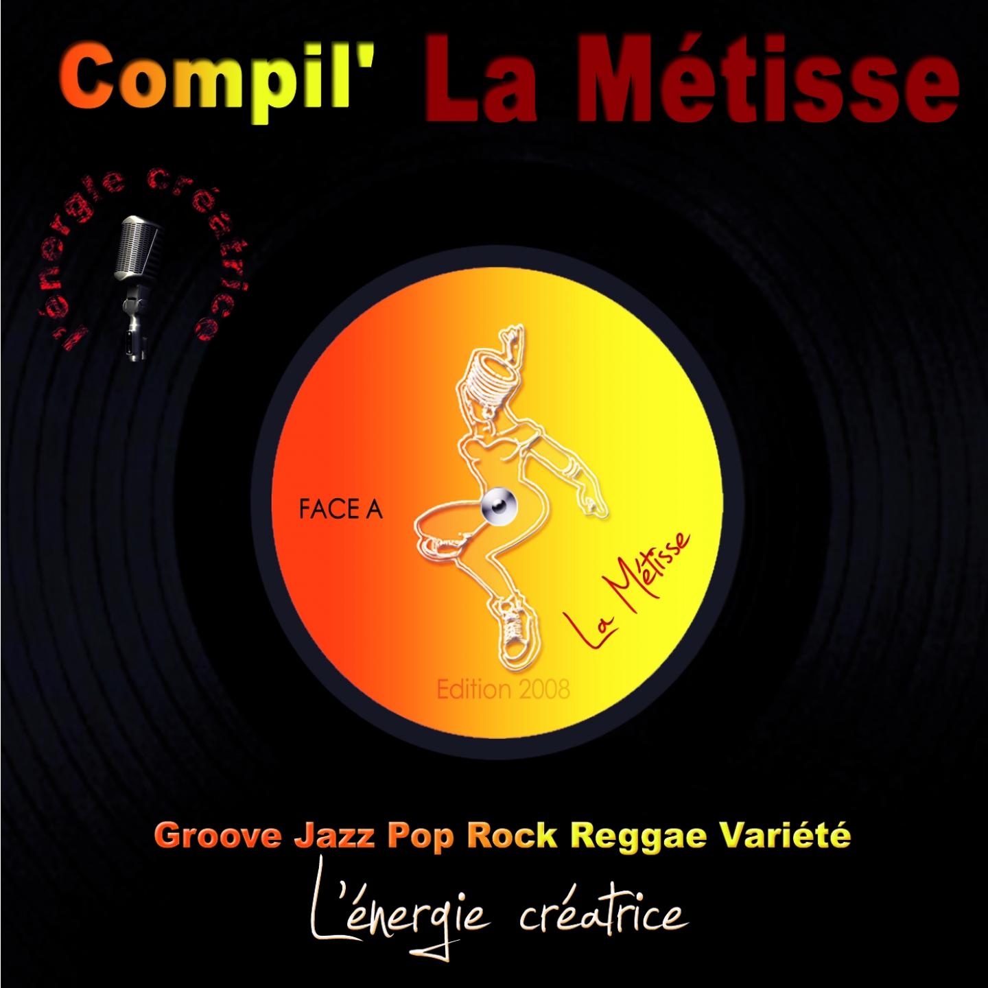 Постер альбома Compilation la métisse 2008