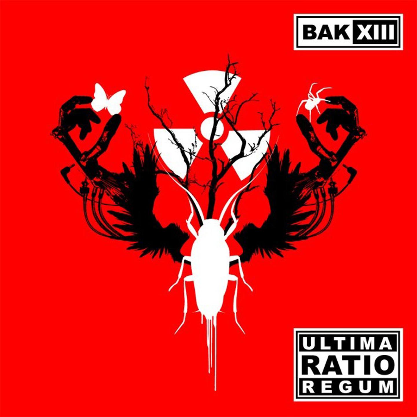 Постер альбома Ultima Ratio Regum