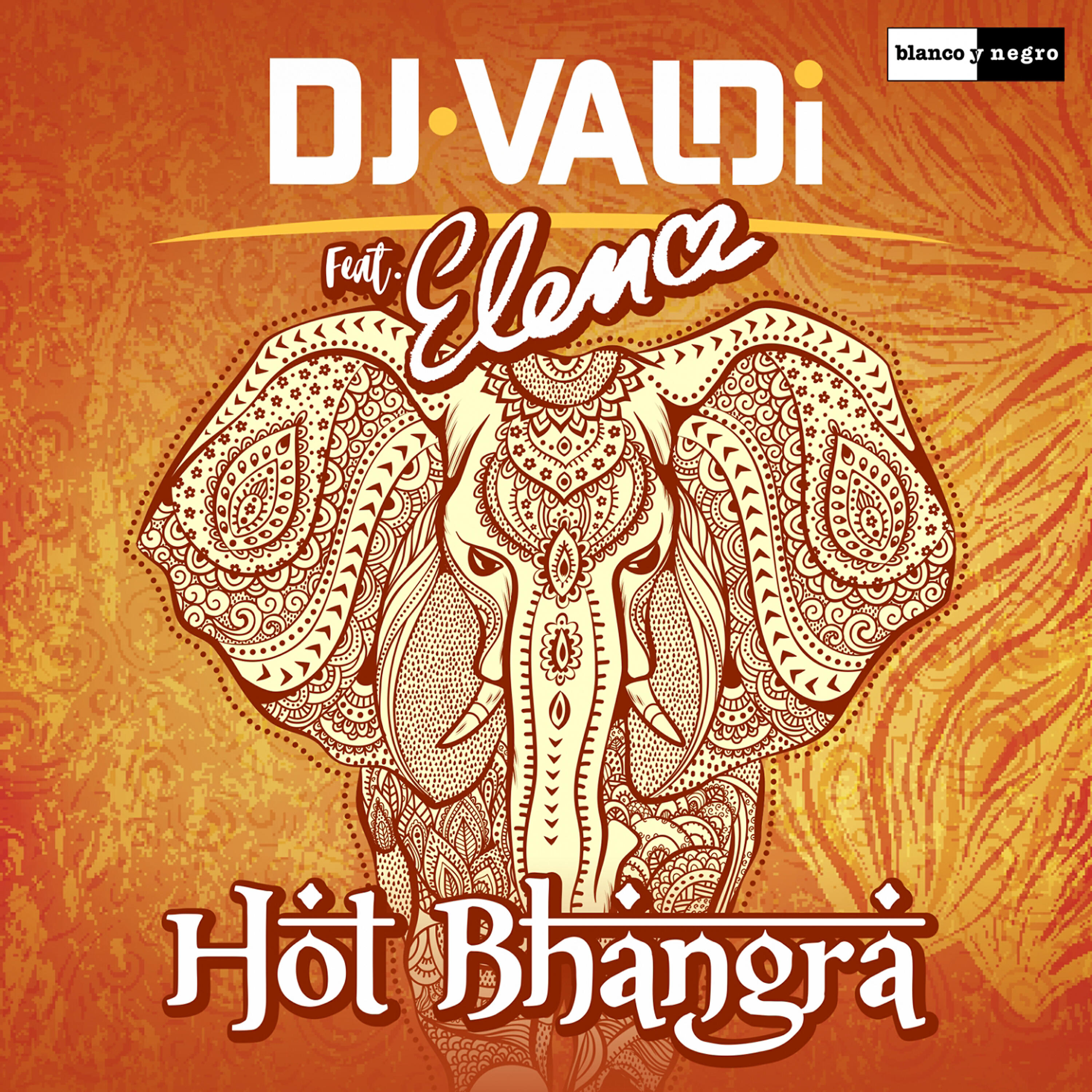 DJ Valdi - Hot Bhangra