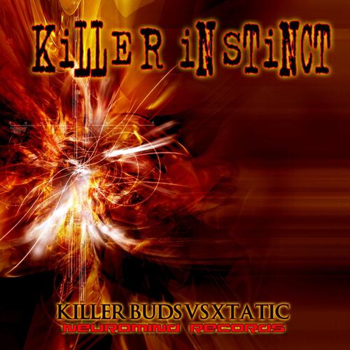 Killer Buds - Voices From The Third Dimension
