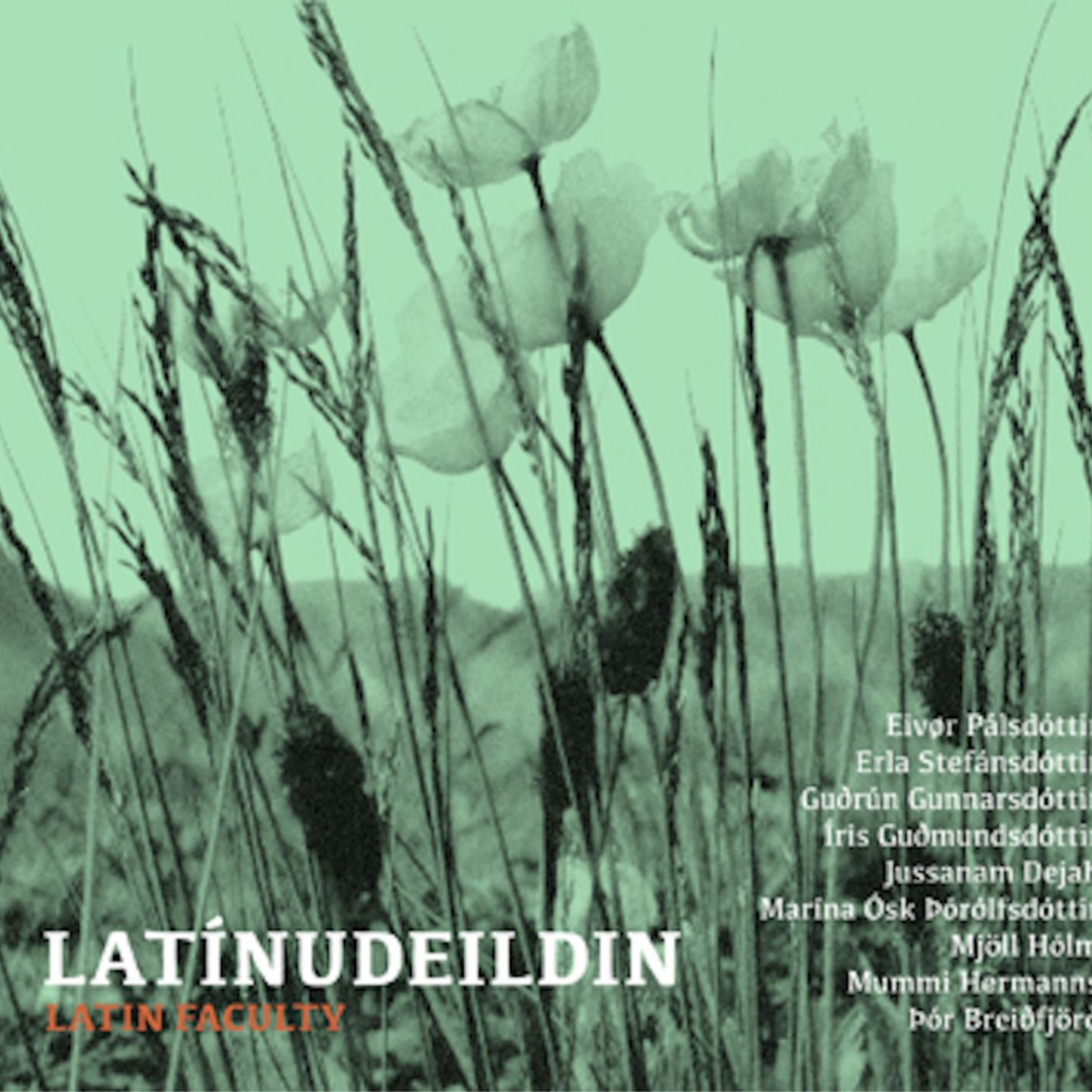 Постер альбома Latin Faculty– Latinudeildin