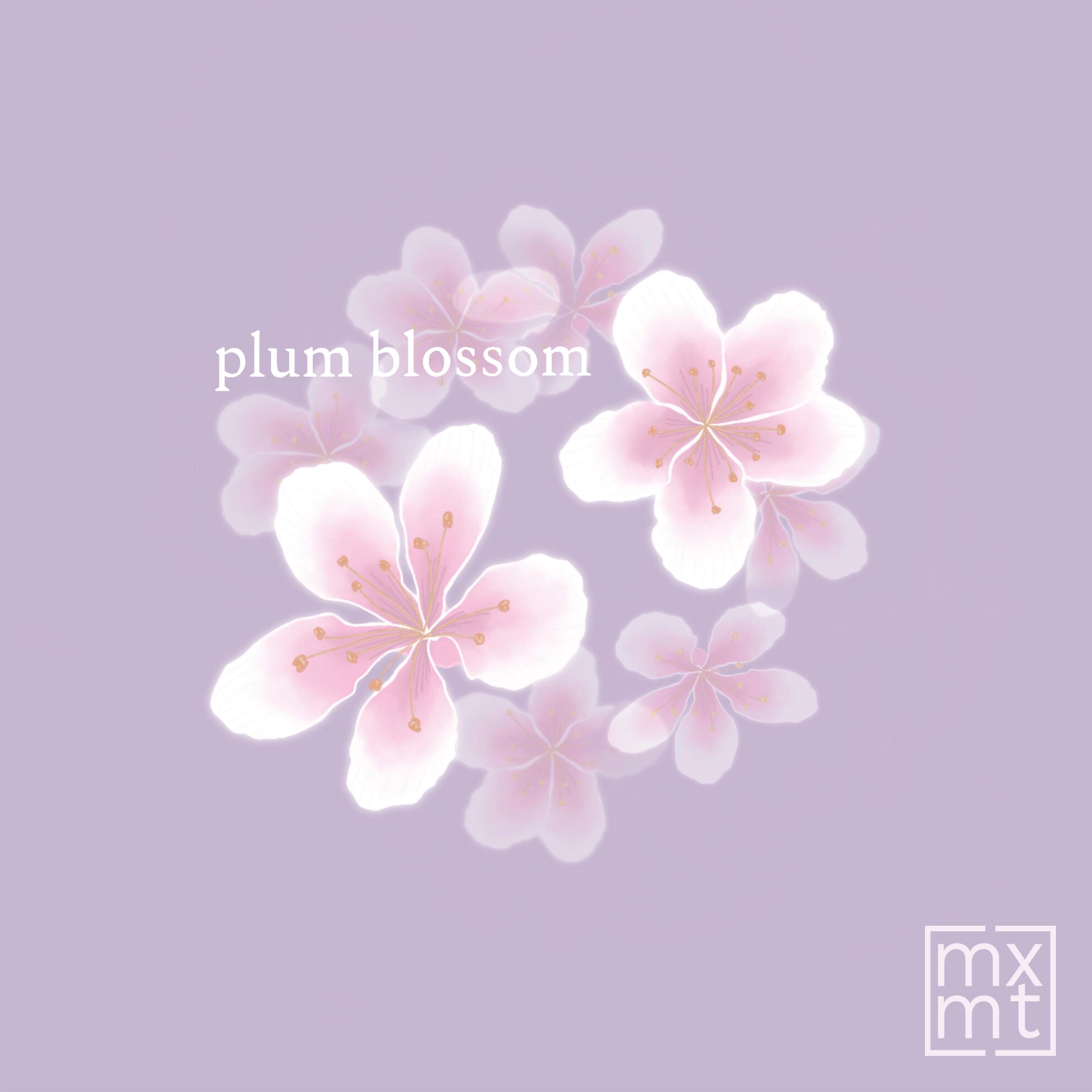 Постер альбома plum blossom