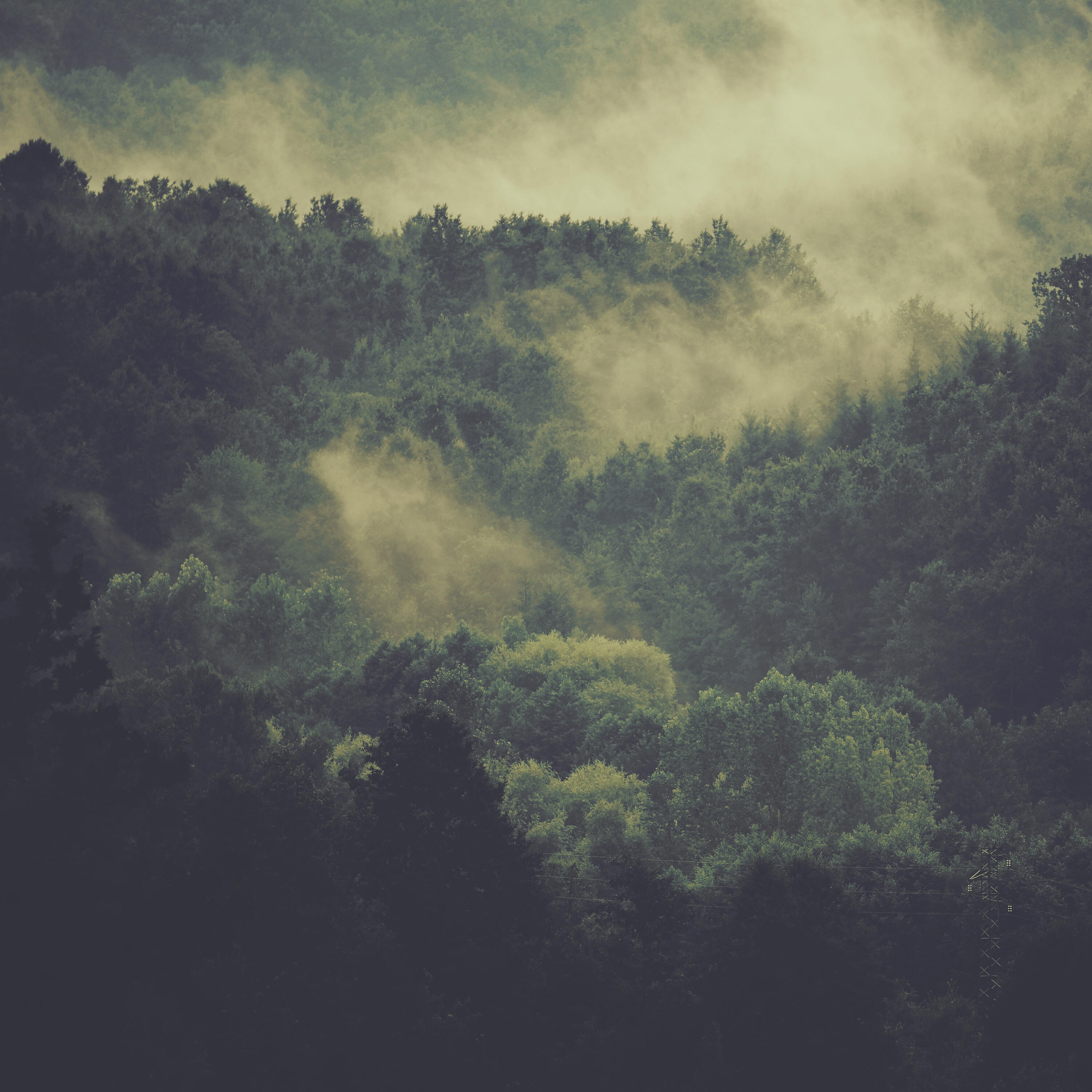 Nature Sounds Recordings - Rainforest Sleep