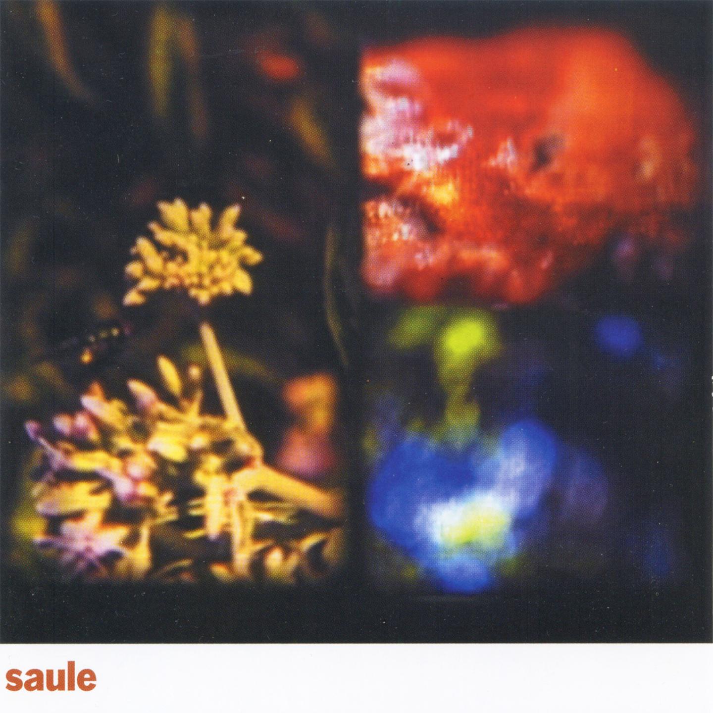 Постер альбома Saule