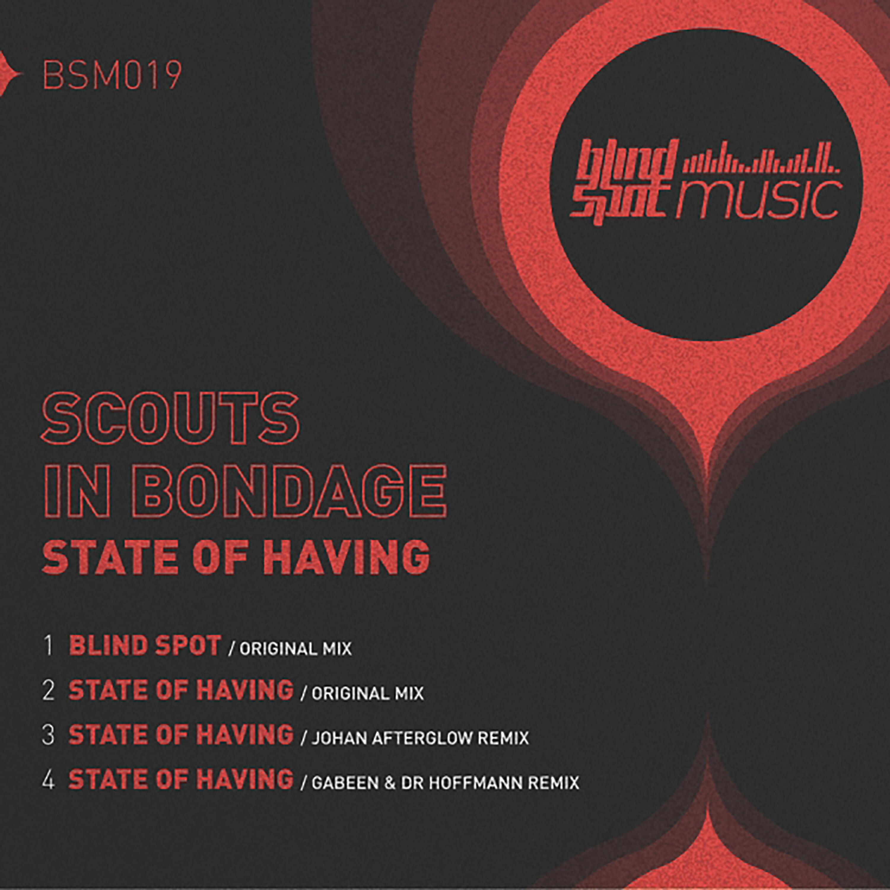Scouts In Bondage - State of Having (Gabeen & Dr Hoffmann Remix)