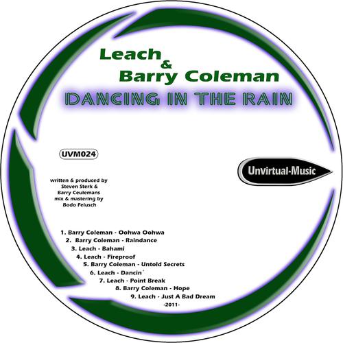 Постер альбома Dancing In the Rain