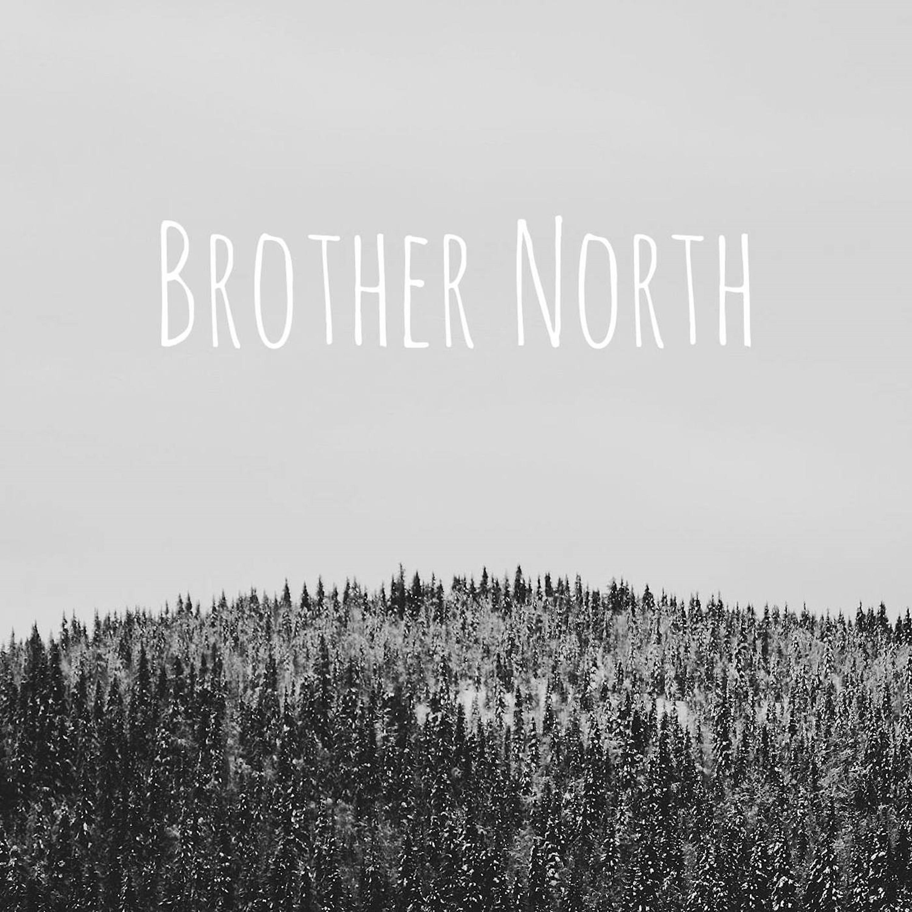 Постер альбома Brother North