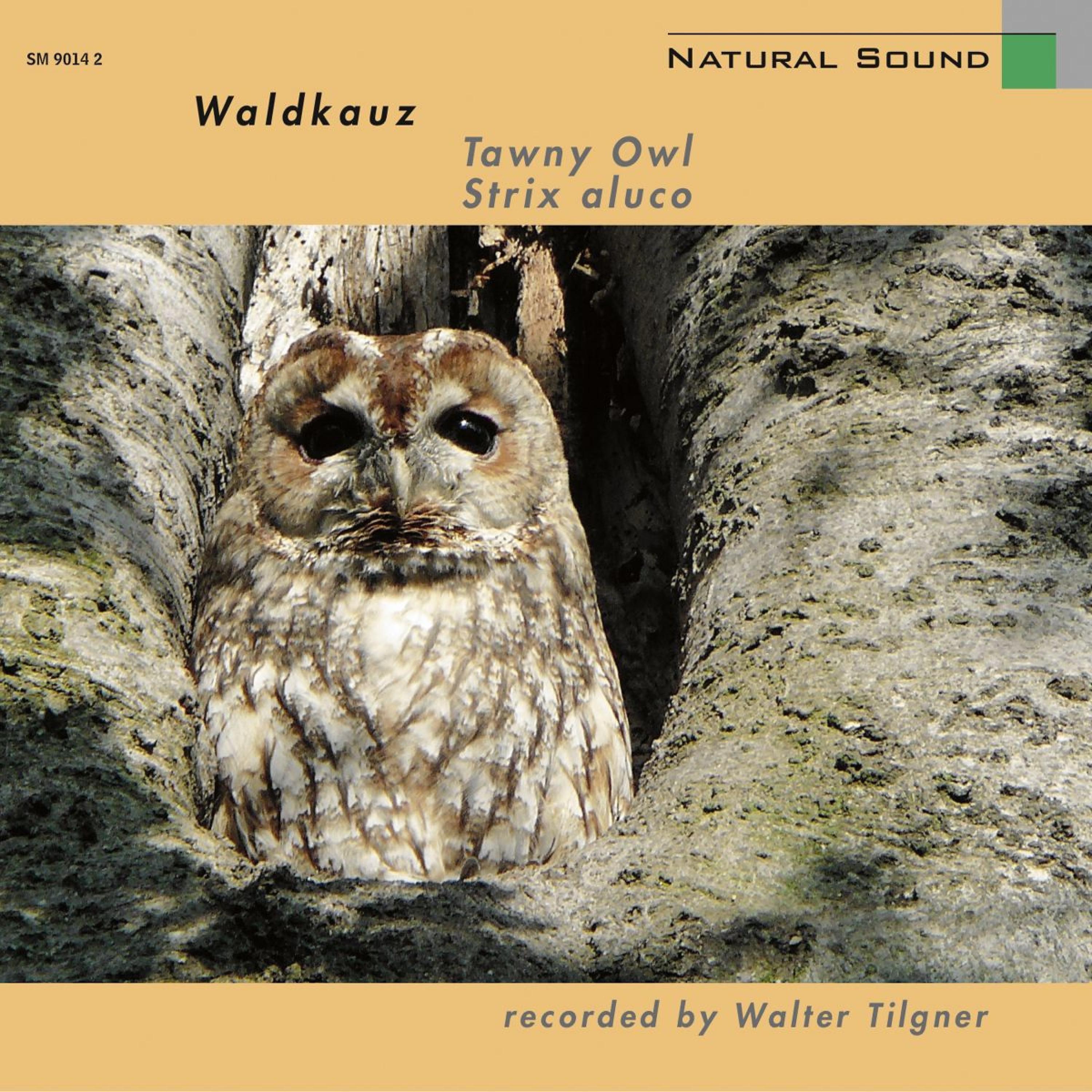 Постер альбома Natural Sound: Waldkauz