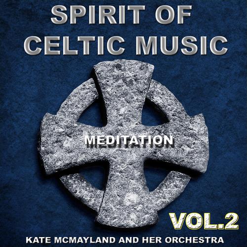 Постер альбома Spirit of Celtic Music Vol.2