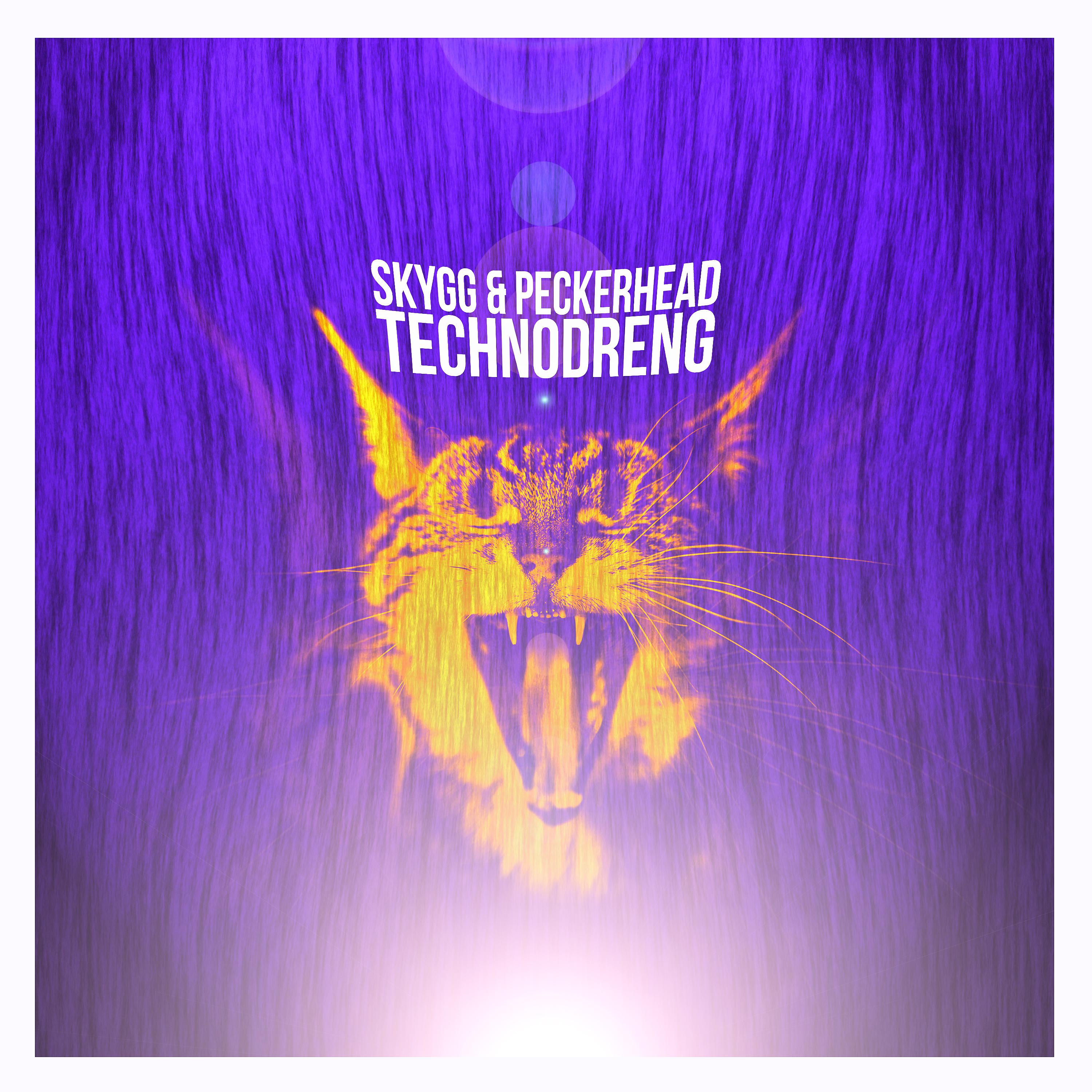 Постер альбома Technodreng